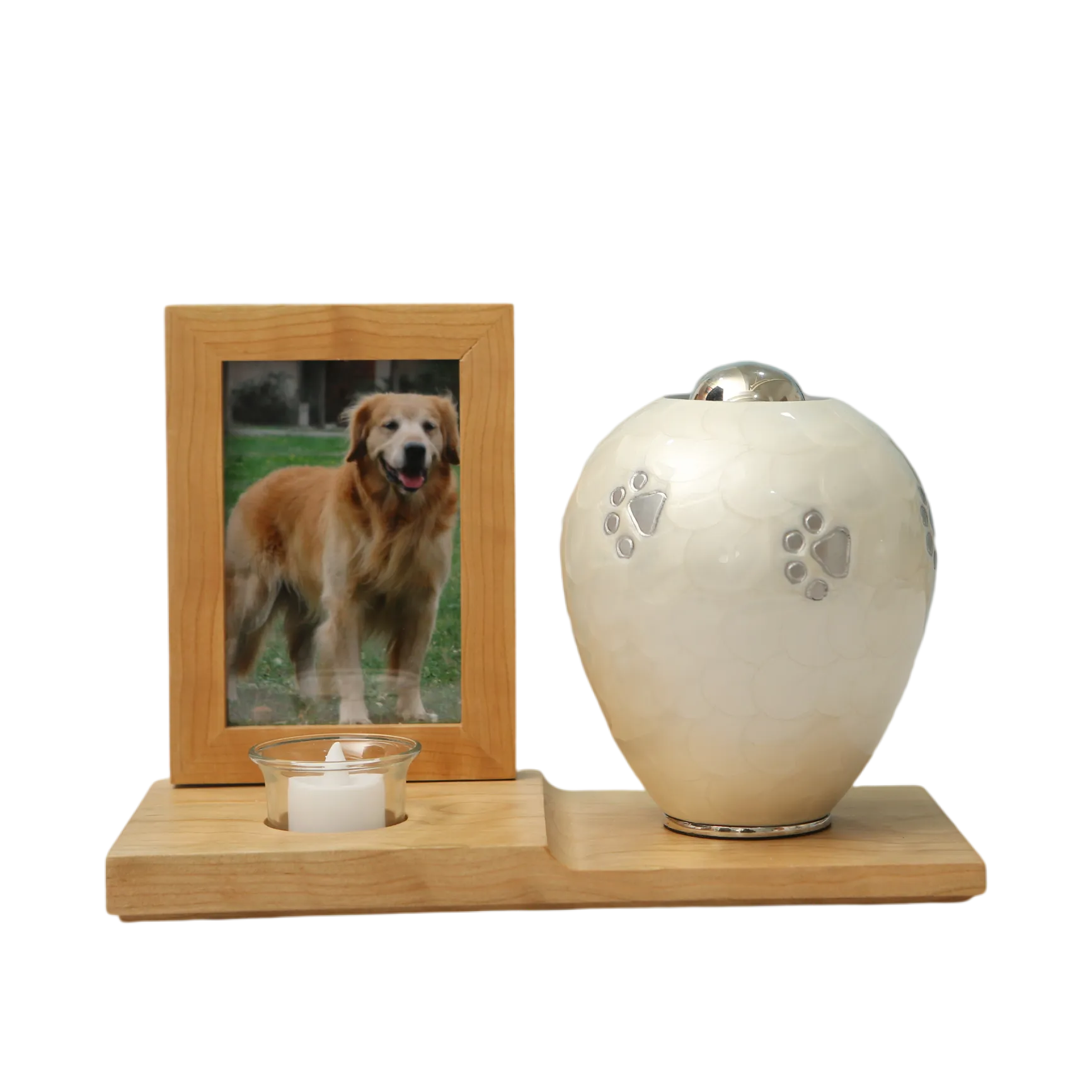 8J9A2177_14612_14668_结果