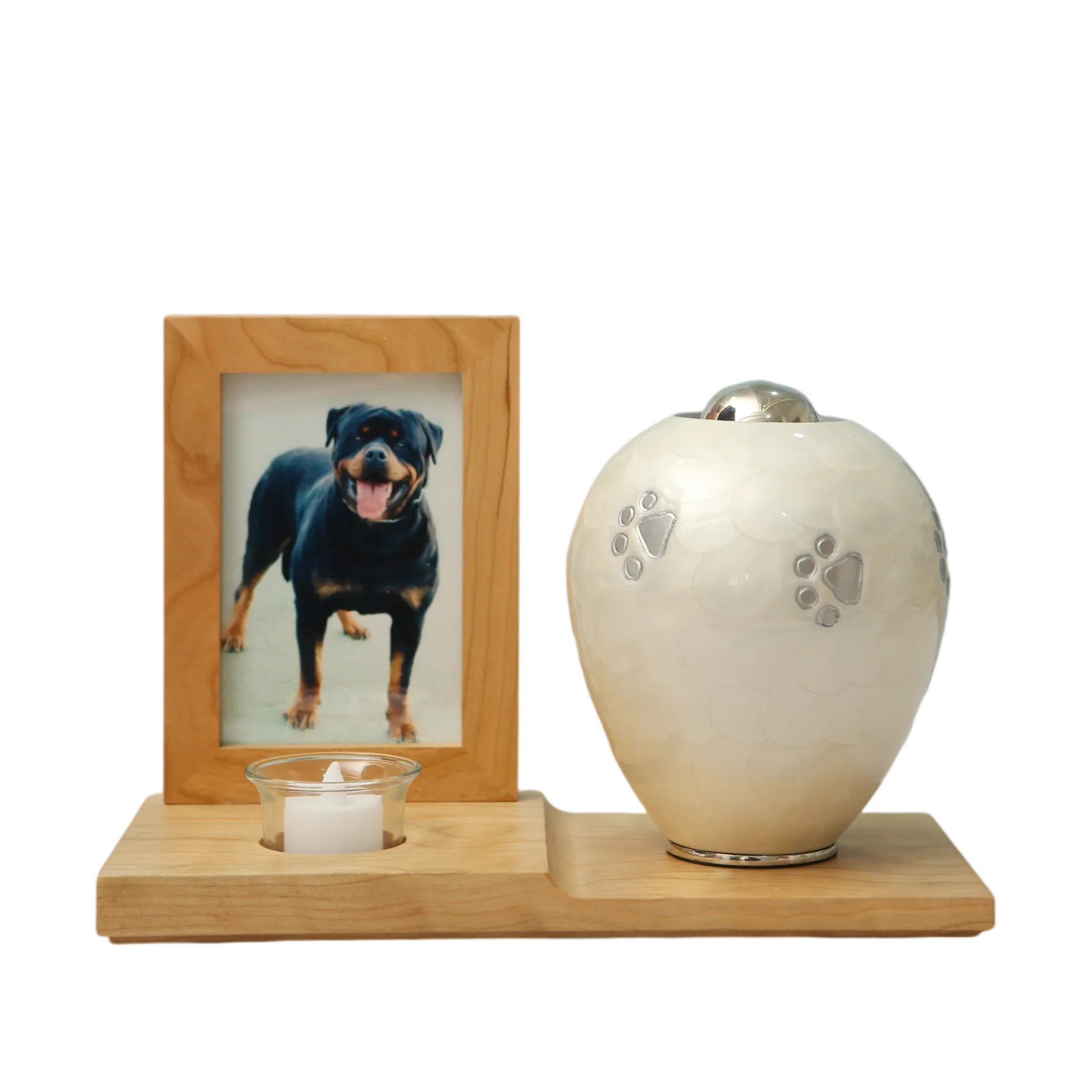 8J9A2179_14681_14743_结果