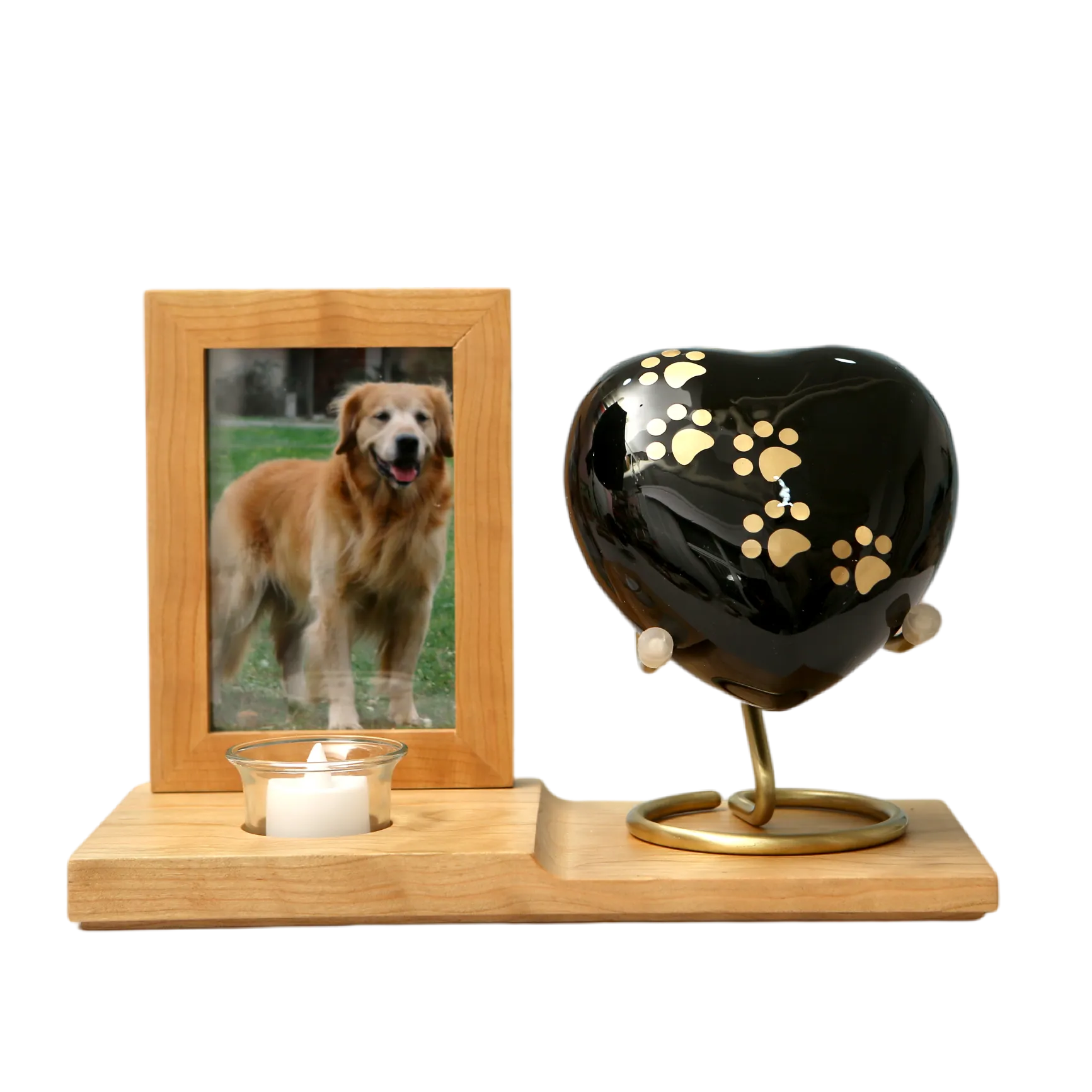 8J9A2216_16523_16575_结果