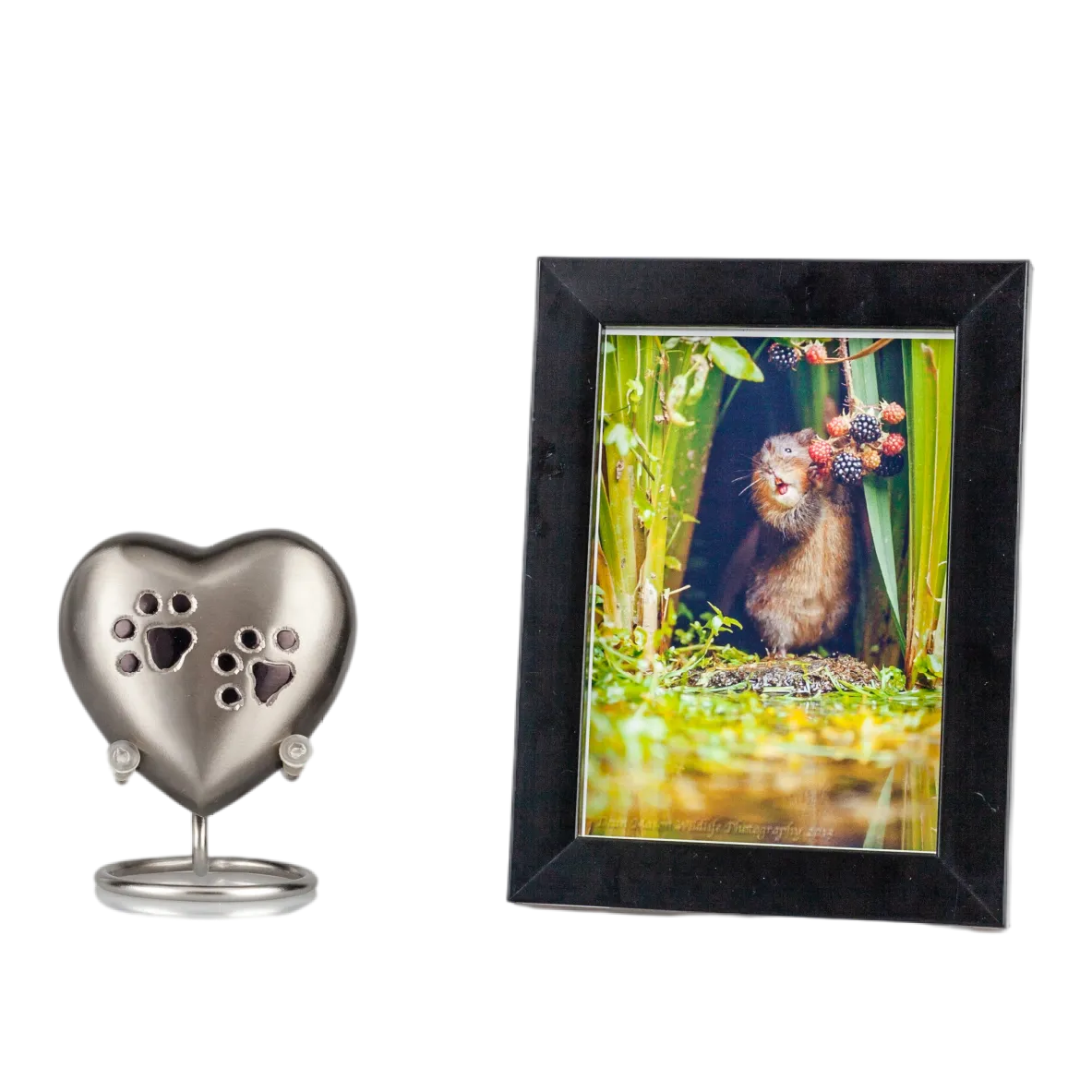 IMG_0035_5308_5367_结果