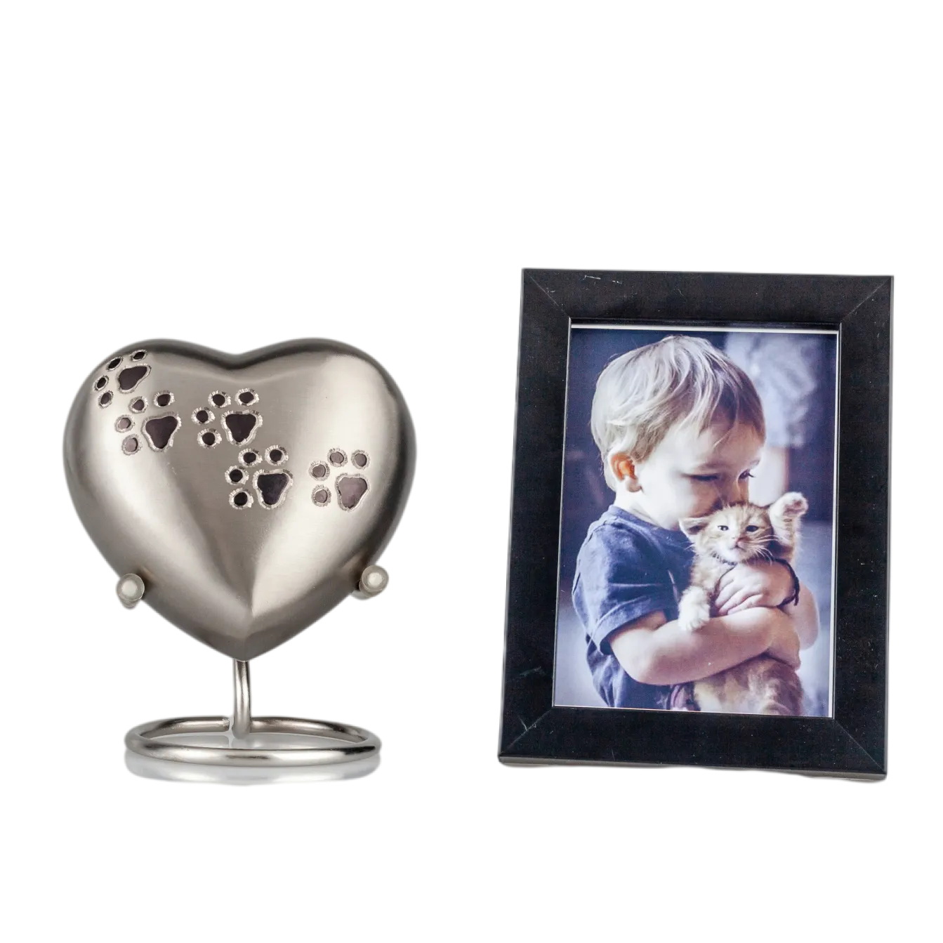 IMG_0036_5383_5485_结果