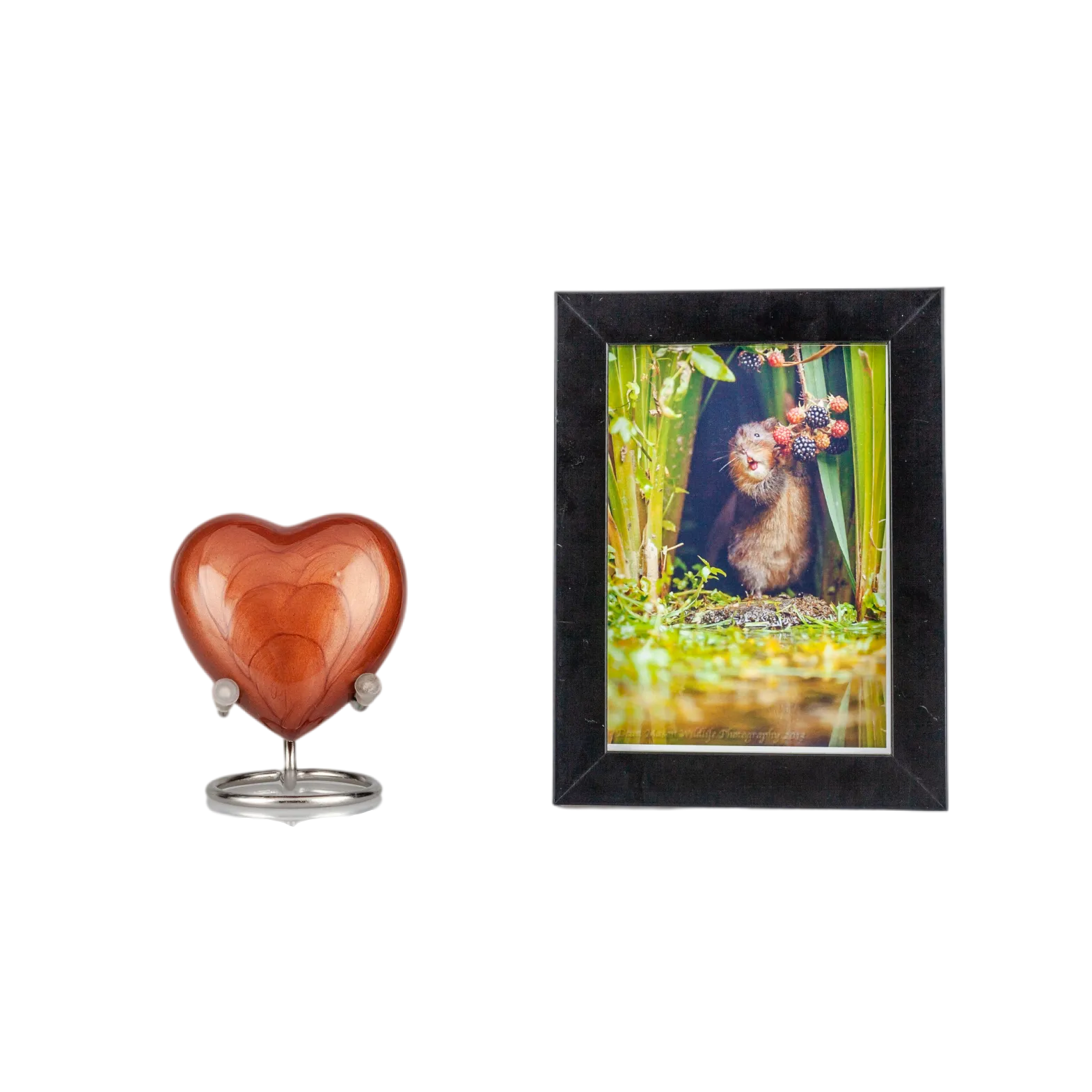 IMG_0059_9660_9702_结果