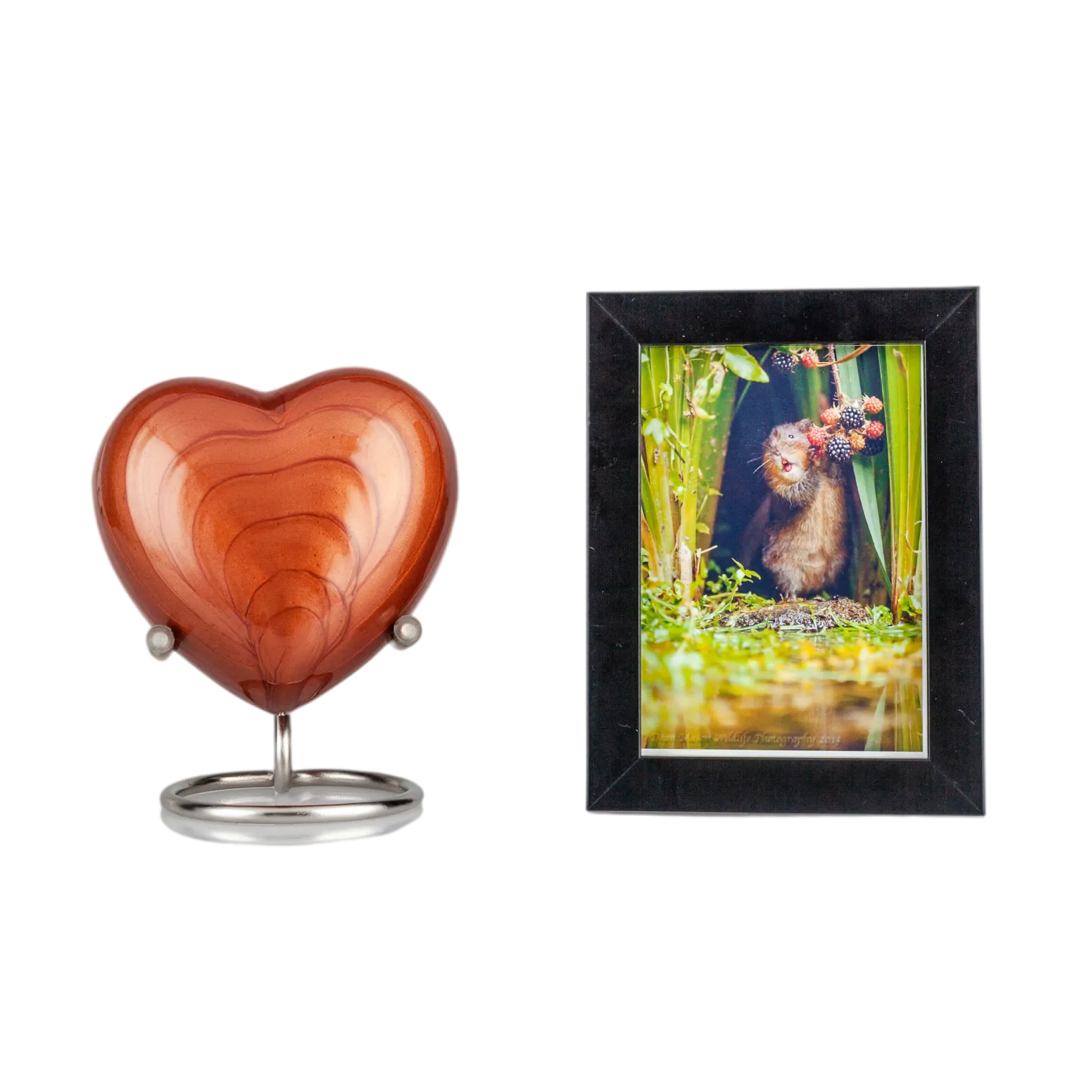 IMG_0061_9732_9777_结果