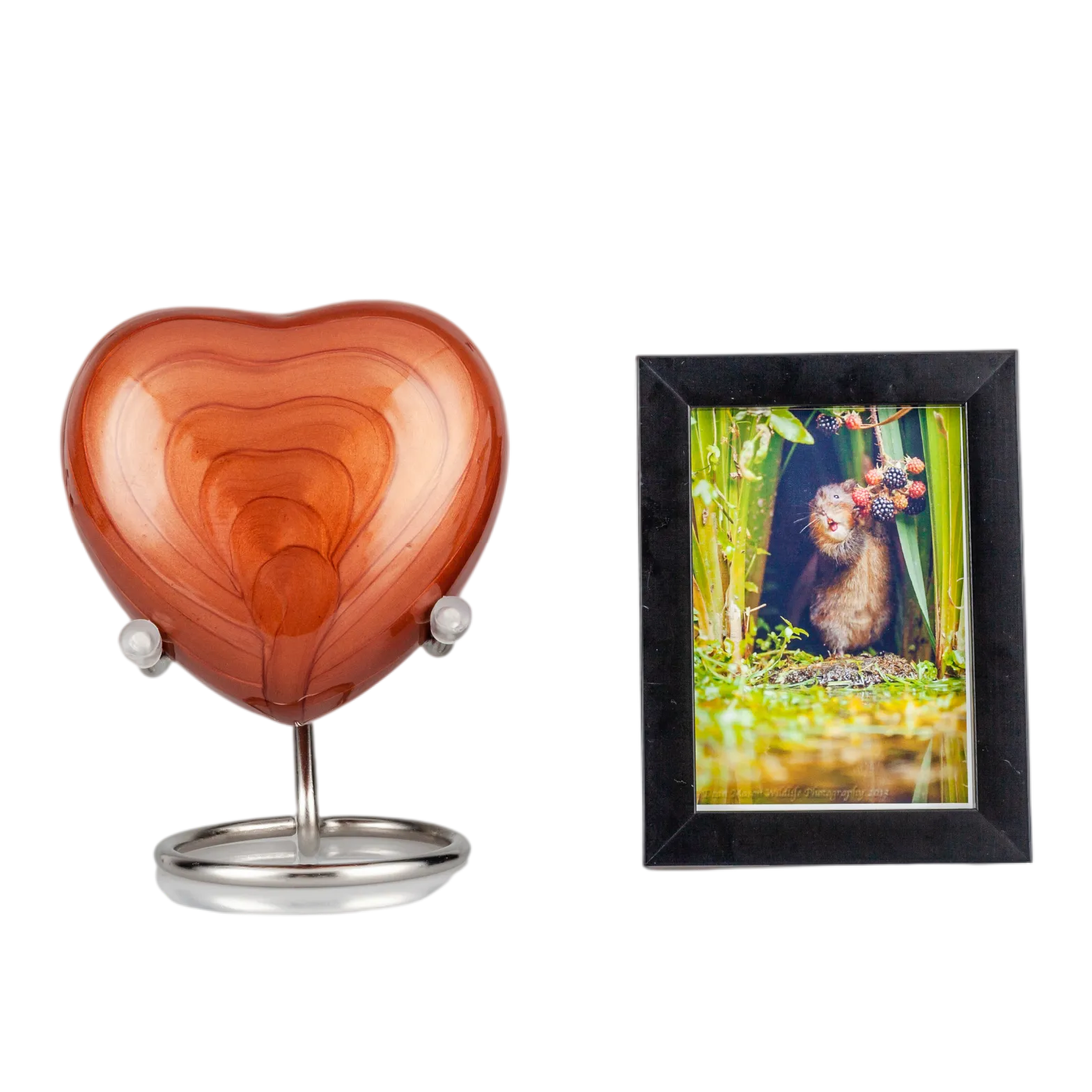 IMG_0064_9790_9833_结果