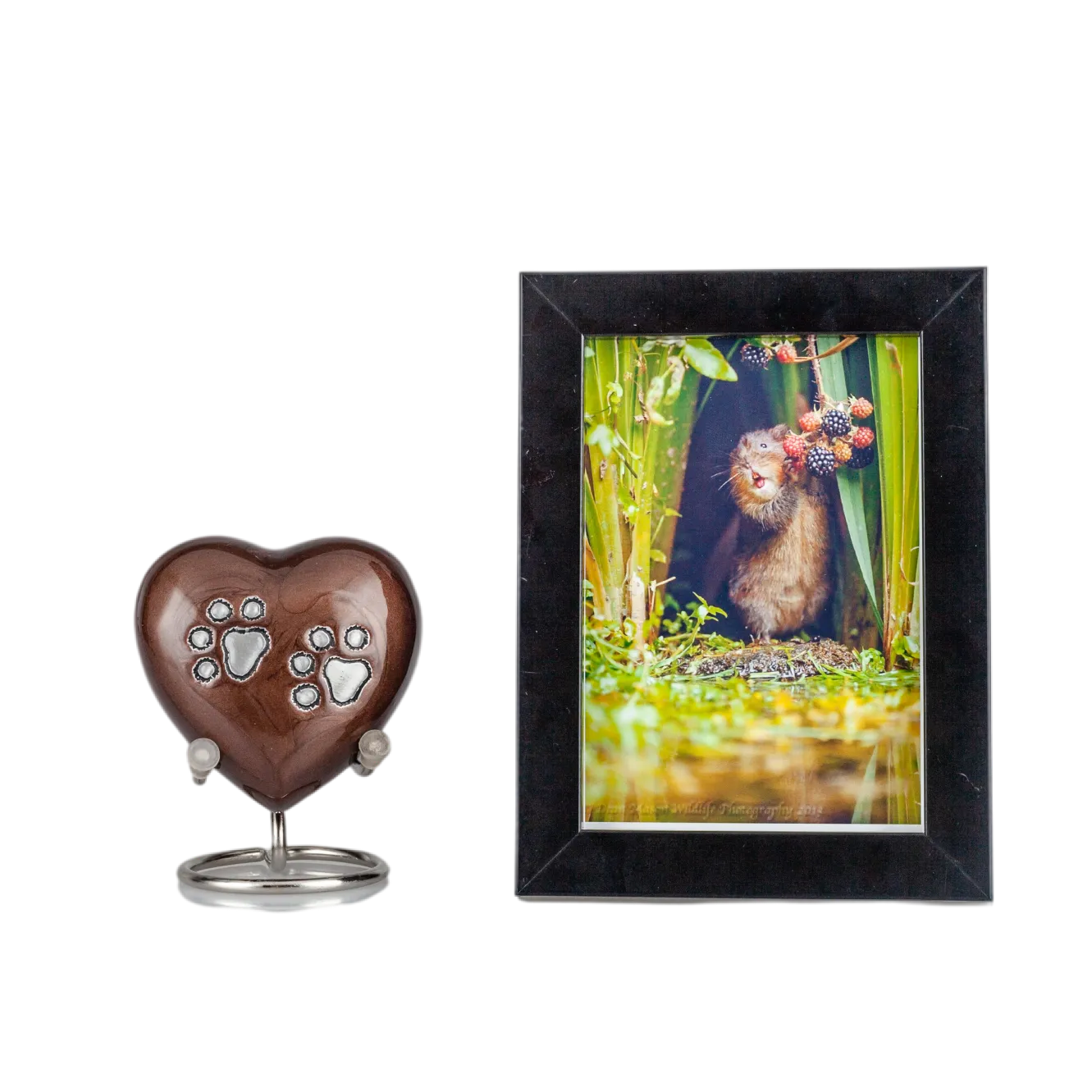 IMG_0097_11247_11286_结果