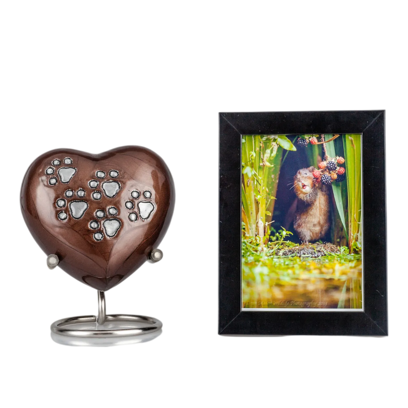 IMG_0098_11306_11410_结果