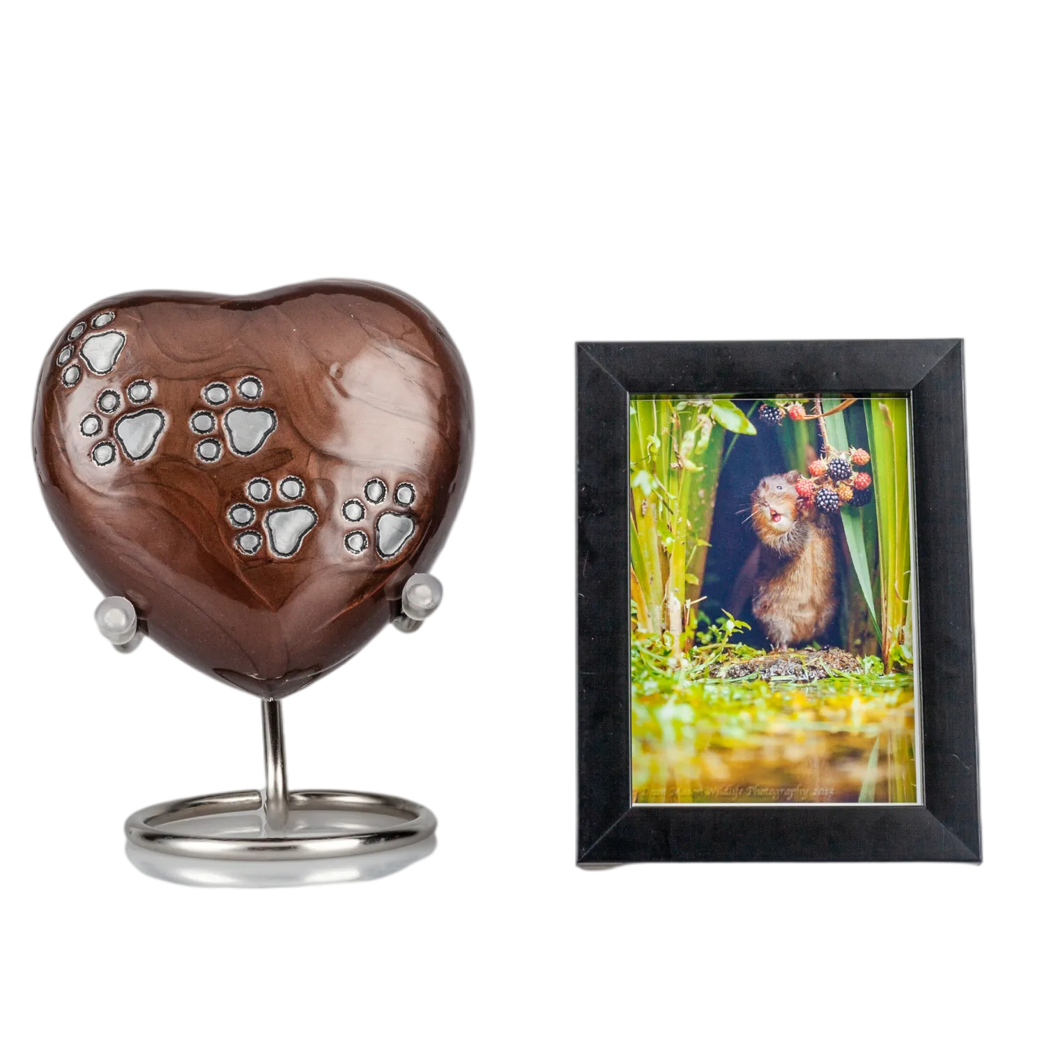 IMG_0100_11567_11642_结果