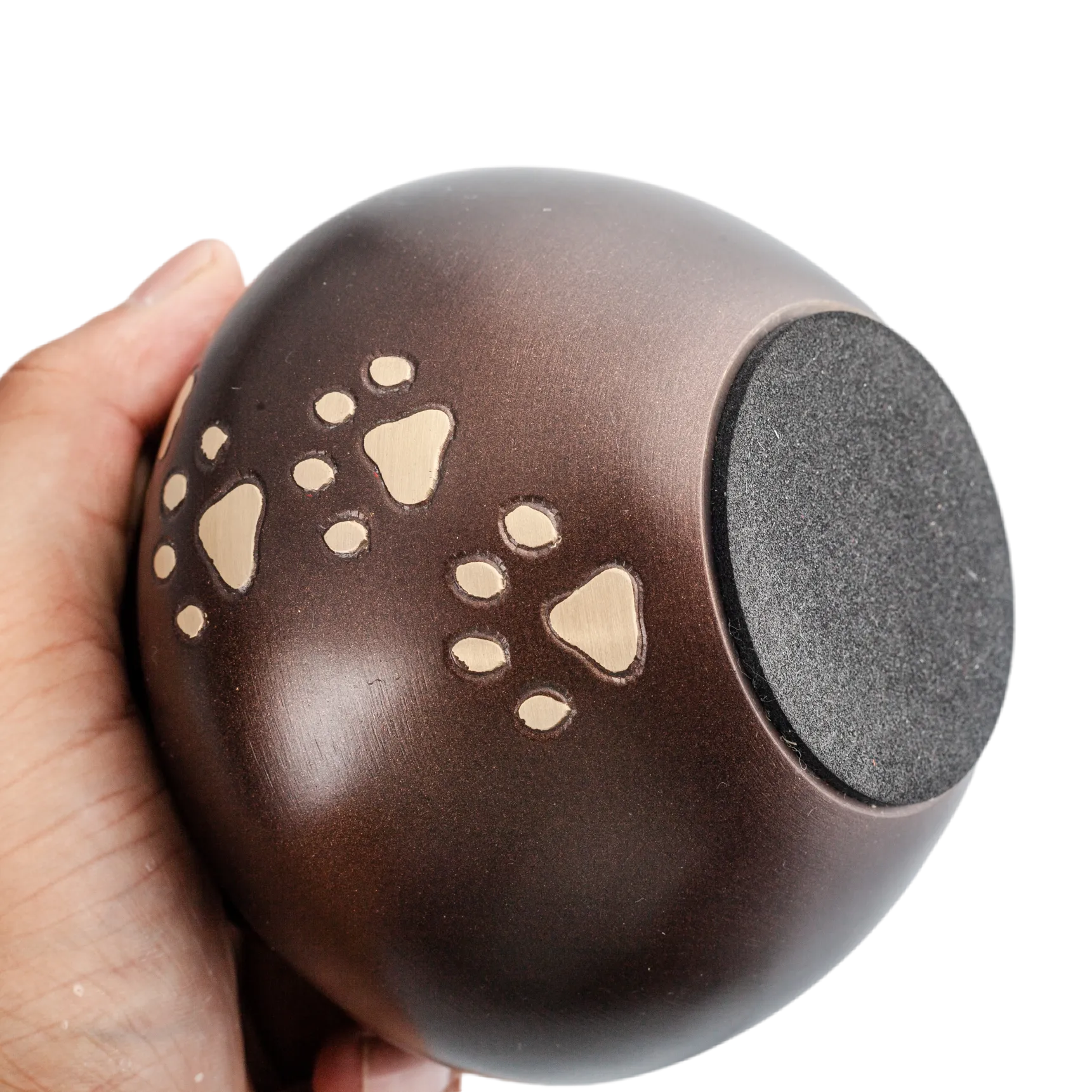 IMG_0274_7538_7675_结果