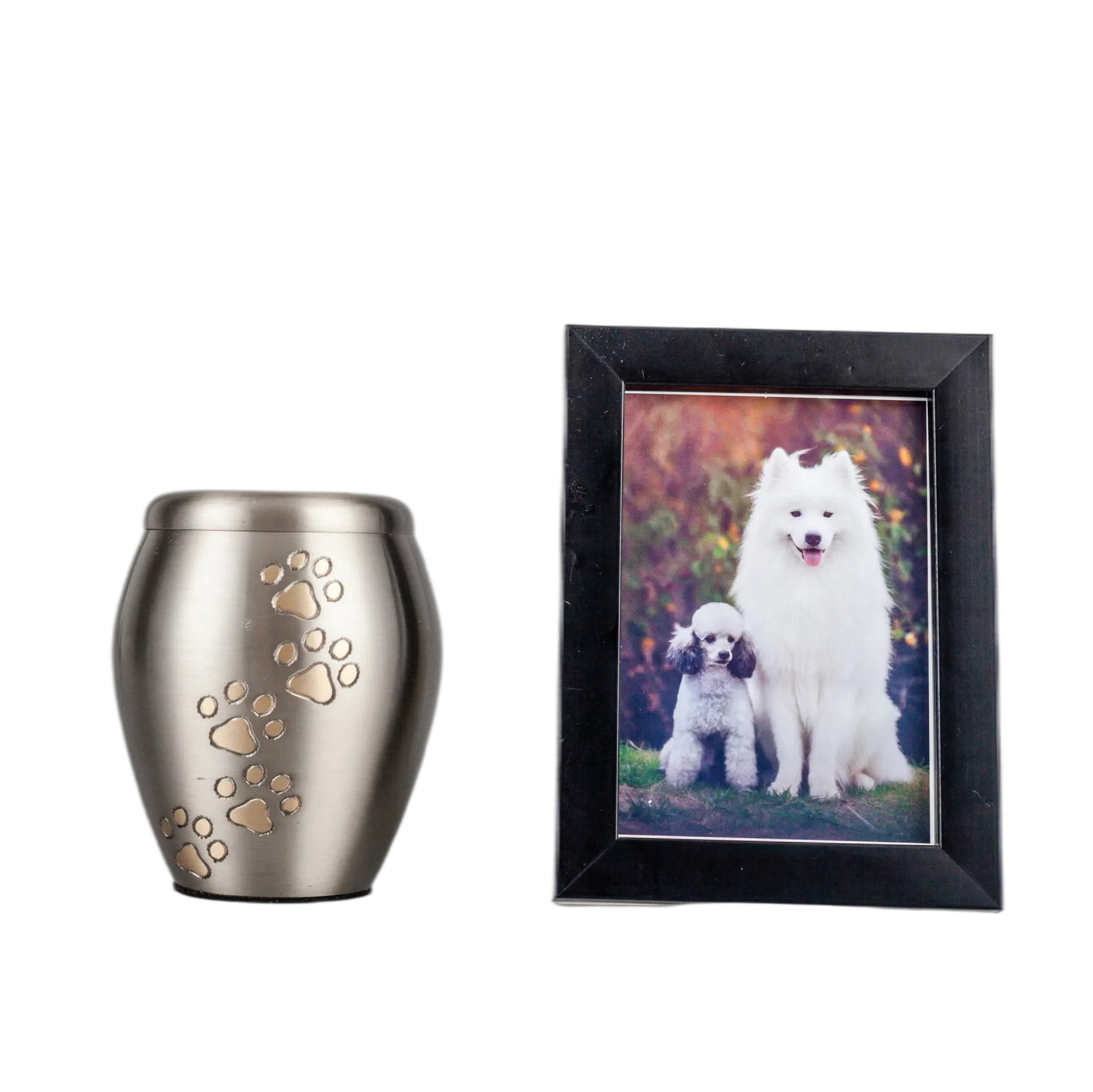 IMG_0299_24232_24530_结果