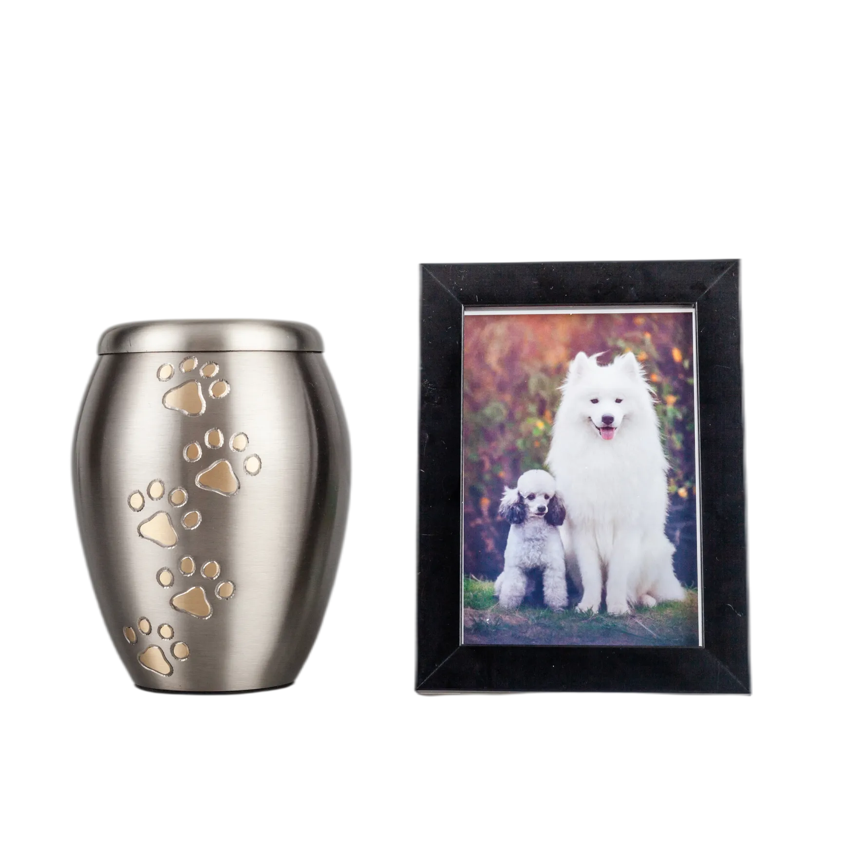 IMG_0302_24556_24664_结果