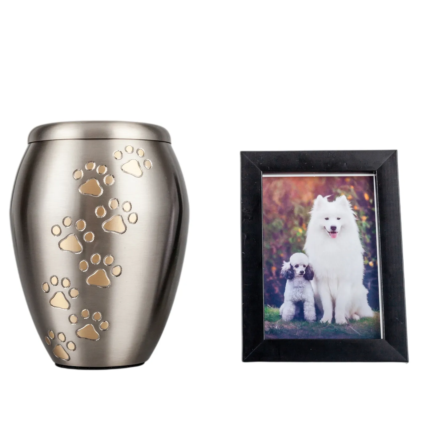 IMG_0303_24690_24788_结果