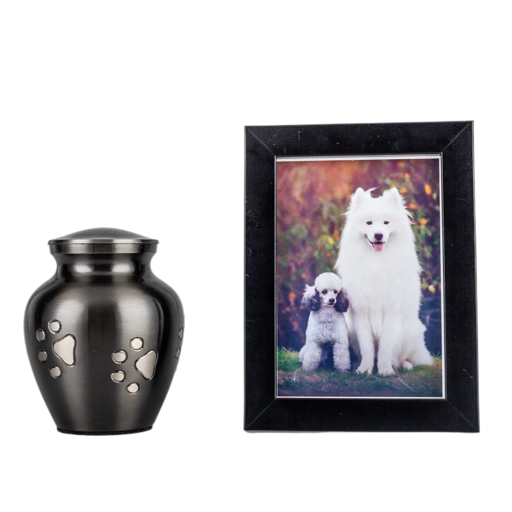 IMG_0315_8634_9258_结果