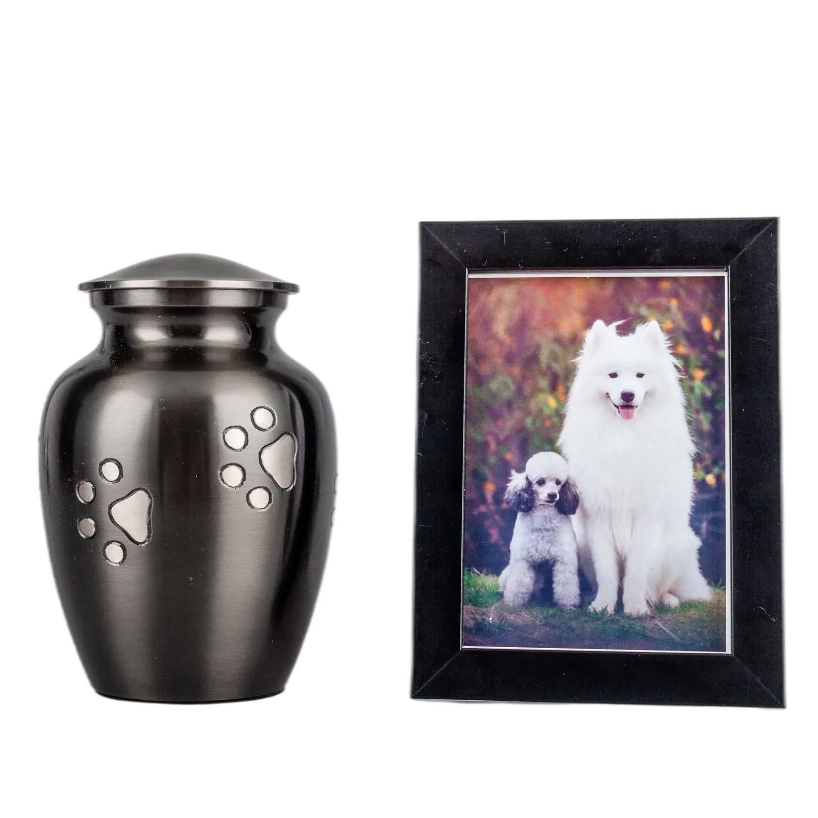 IMG_0318_9277_9421_结果