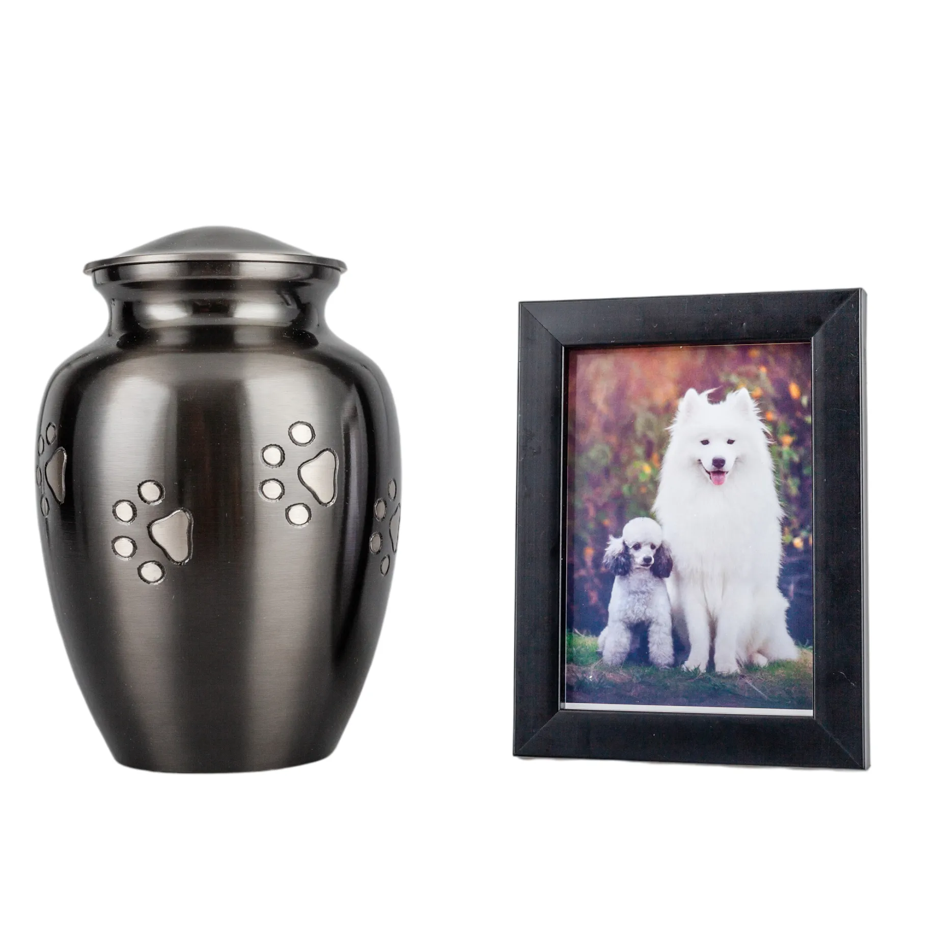 IMG_0320_9463_9565_结果