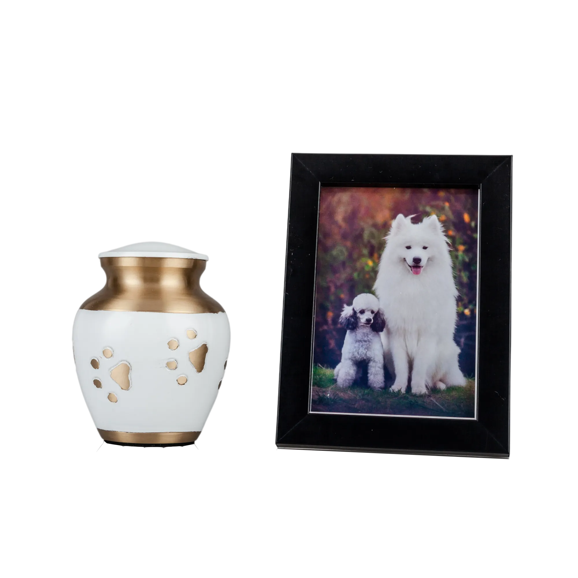 IMG_0331_4058_4146_结果