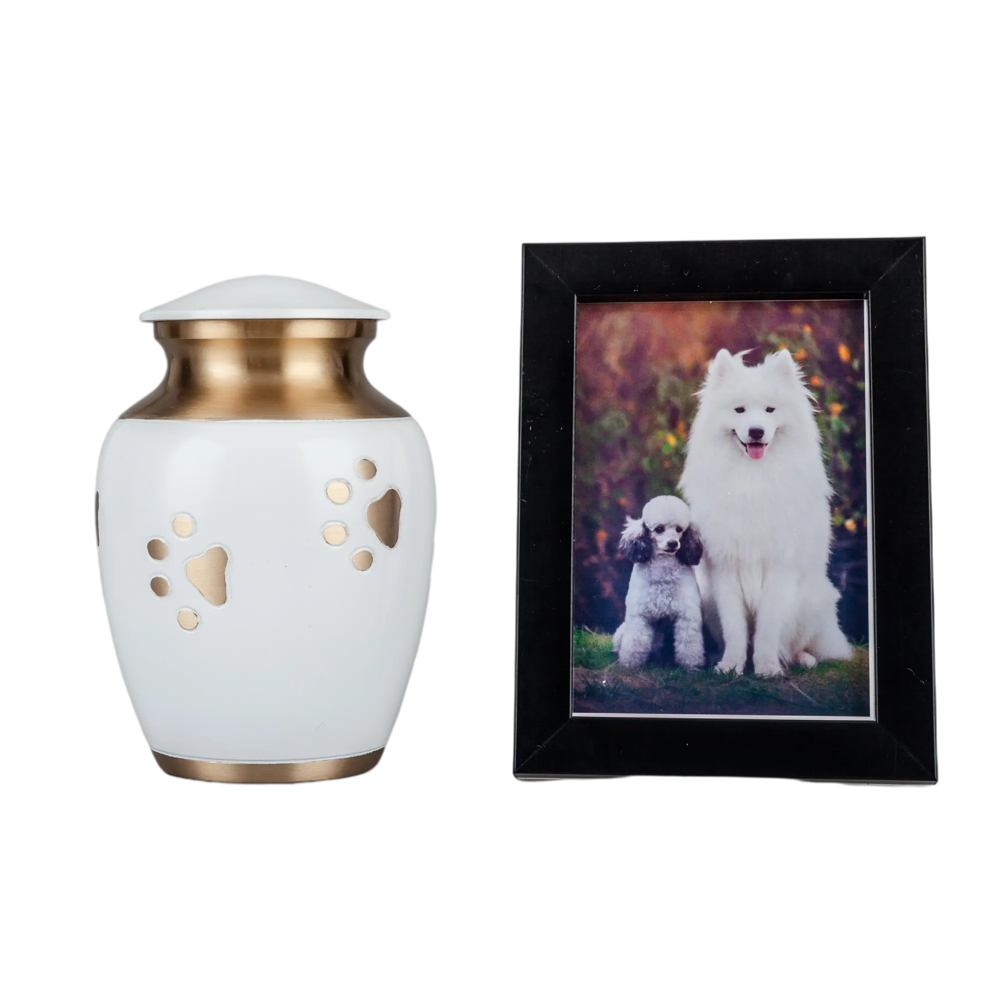 IMG_0333_4166_4241_结果