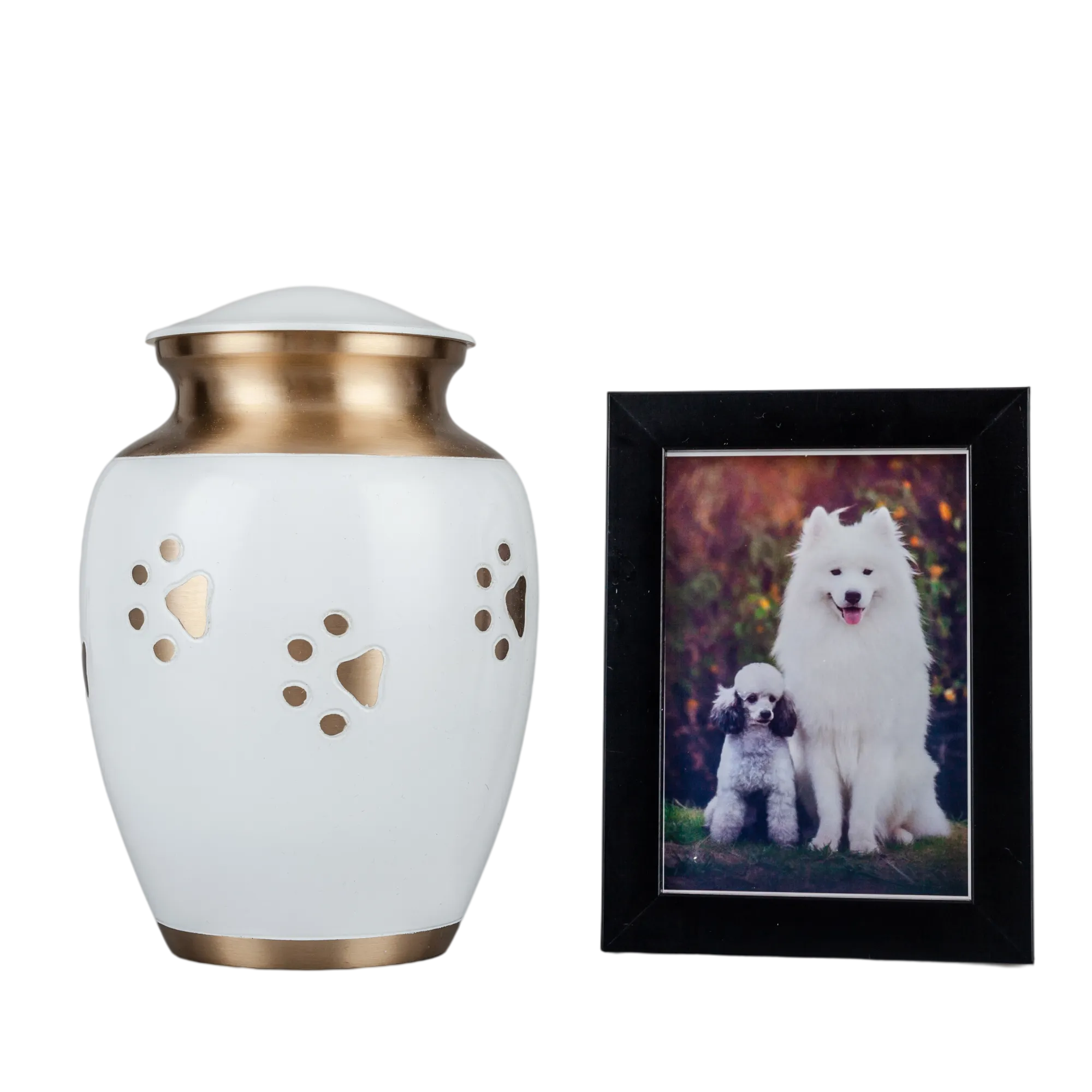 IMG_0335_4257_4332_结果