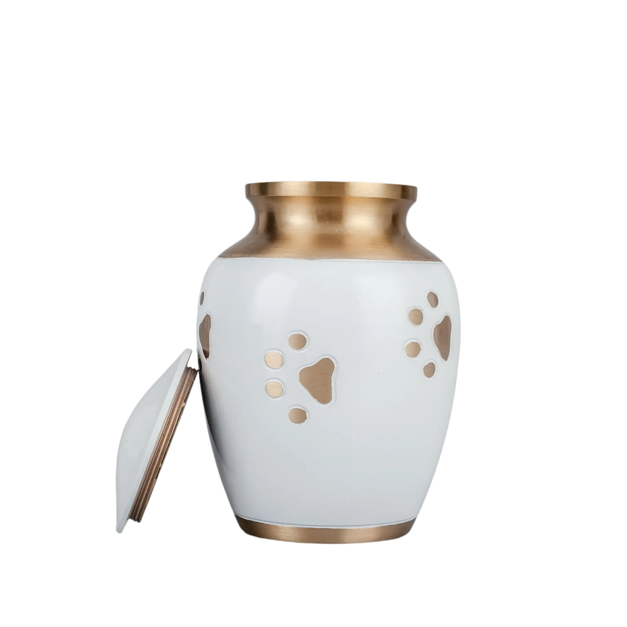 IMG_0342_1638_1870_结果