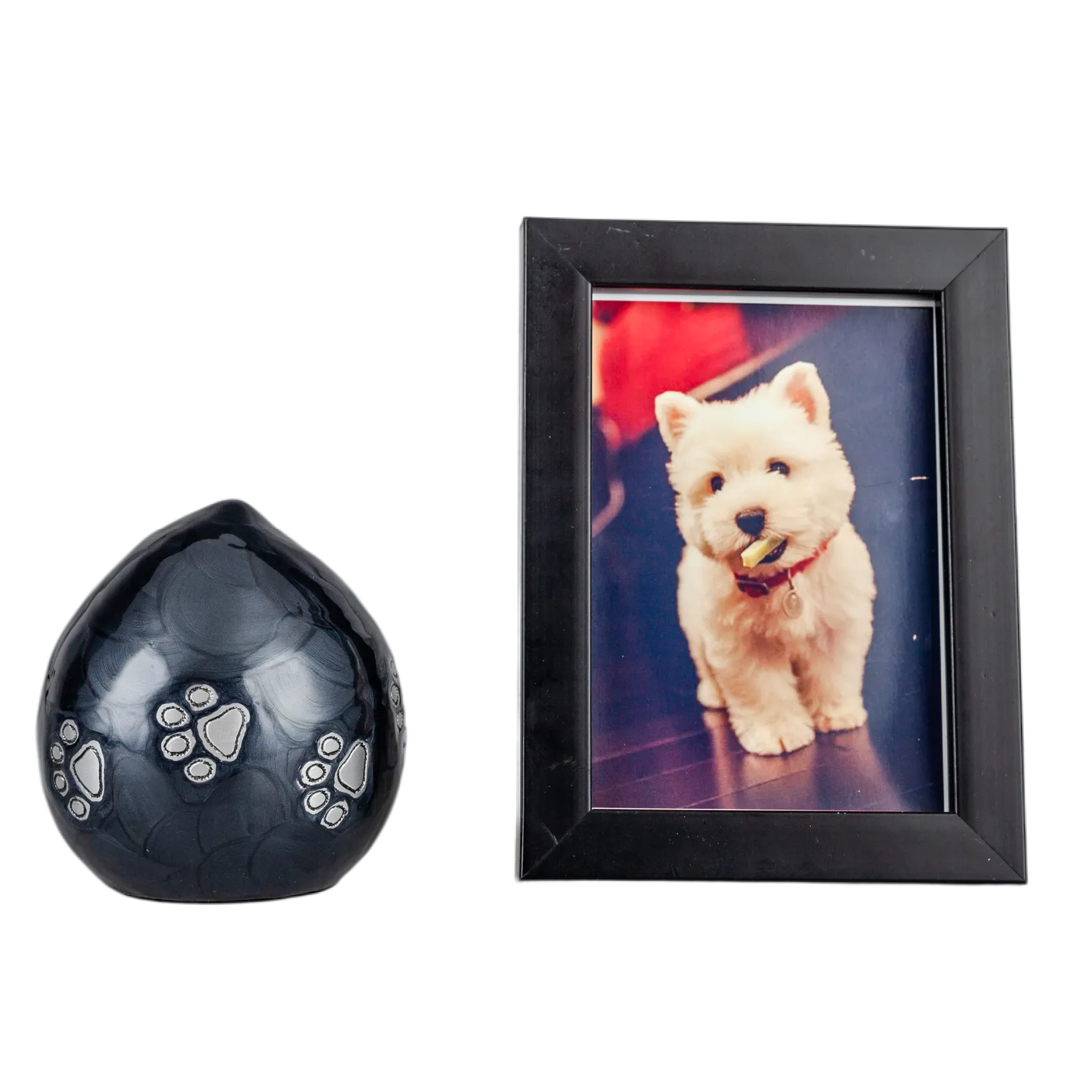 IMG_0785_16246_16298_结果