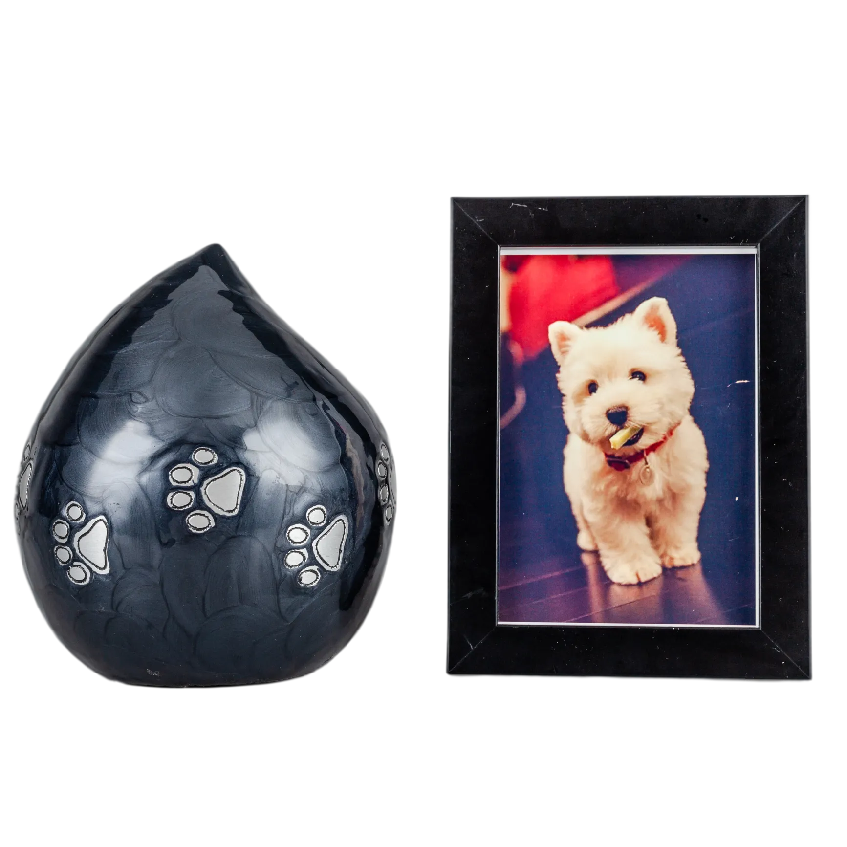 IMG_0788_16321_16402_结果