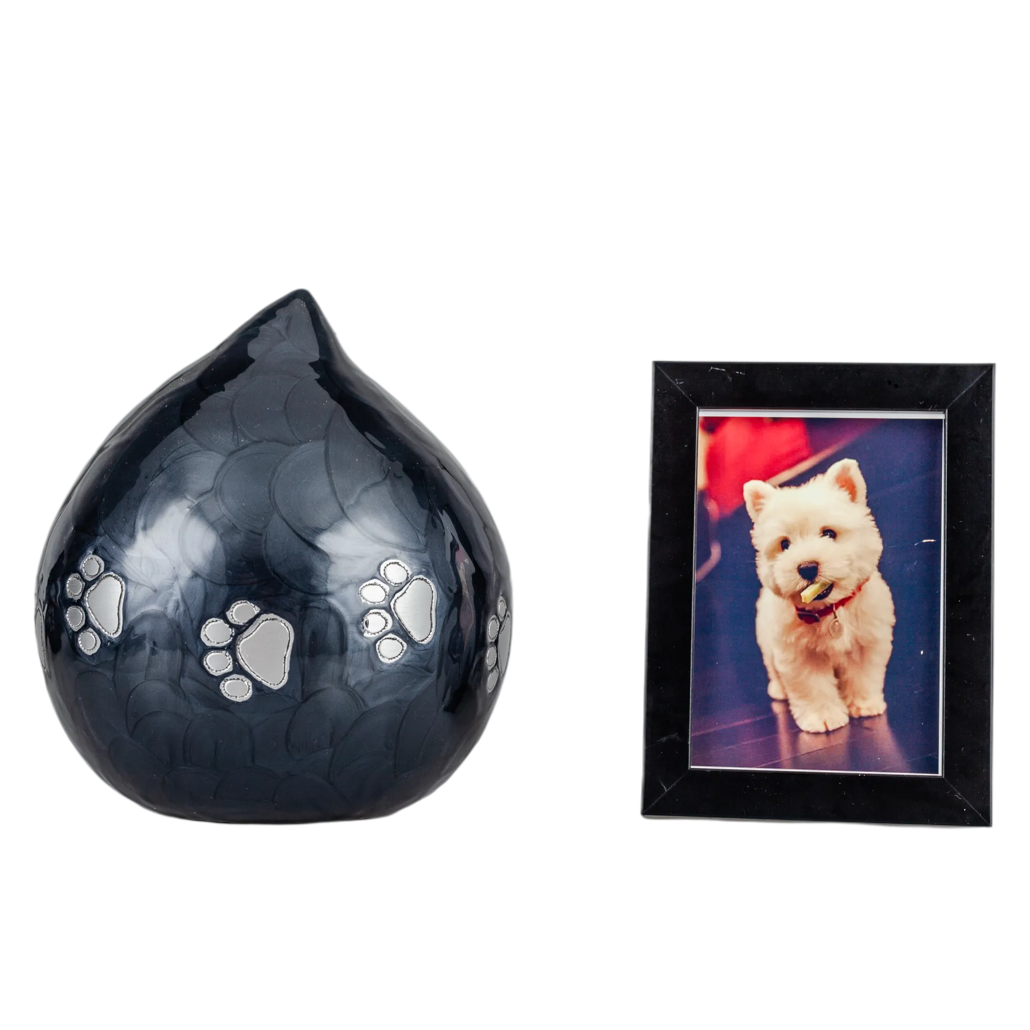 IMG_0789_16425_16481_结果