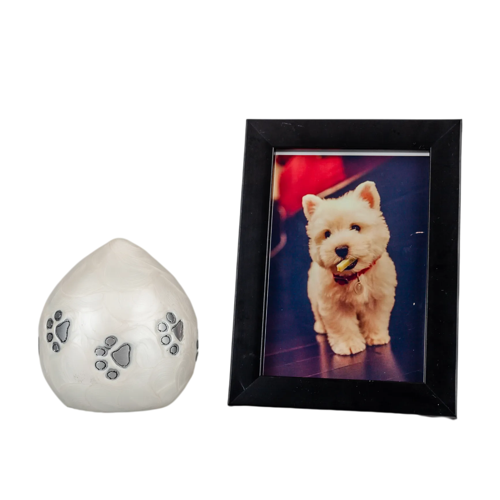 IMG_0798_15514_15563_结果