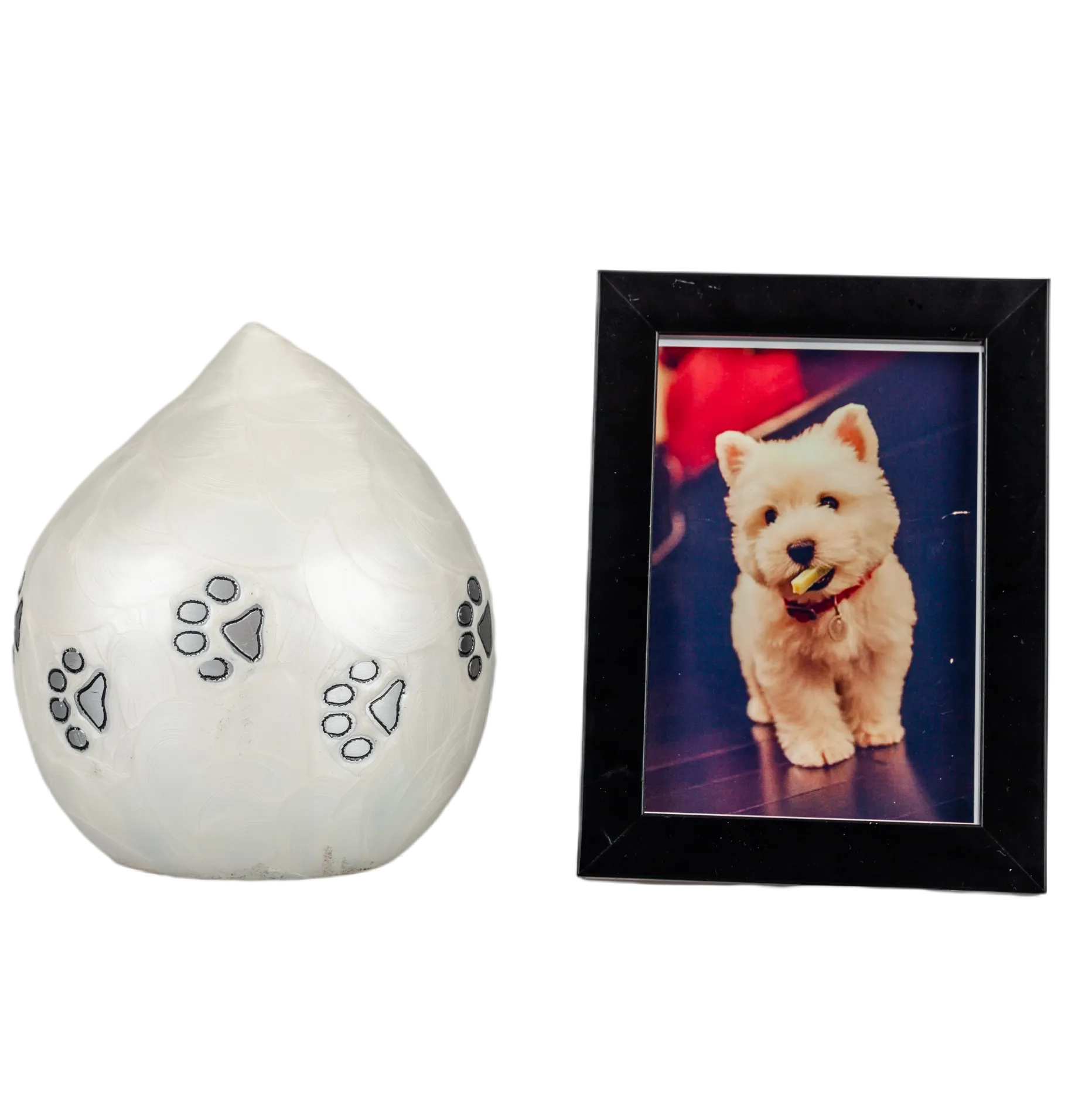 IMG_0799_15576_15629_结果