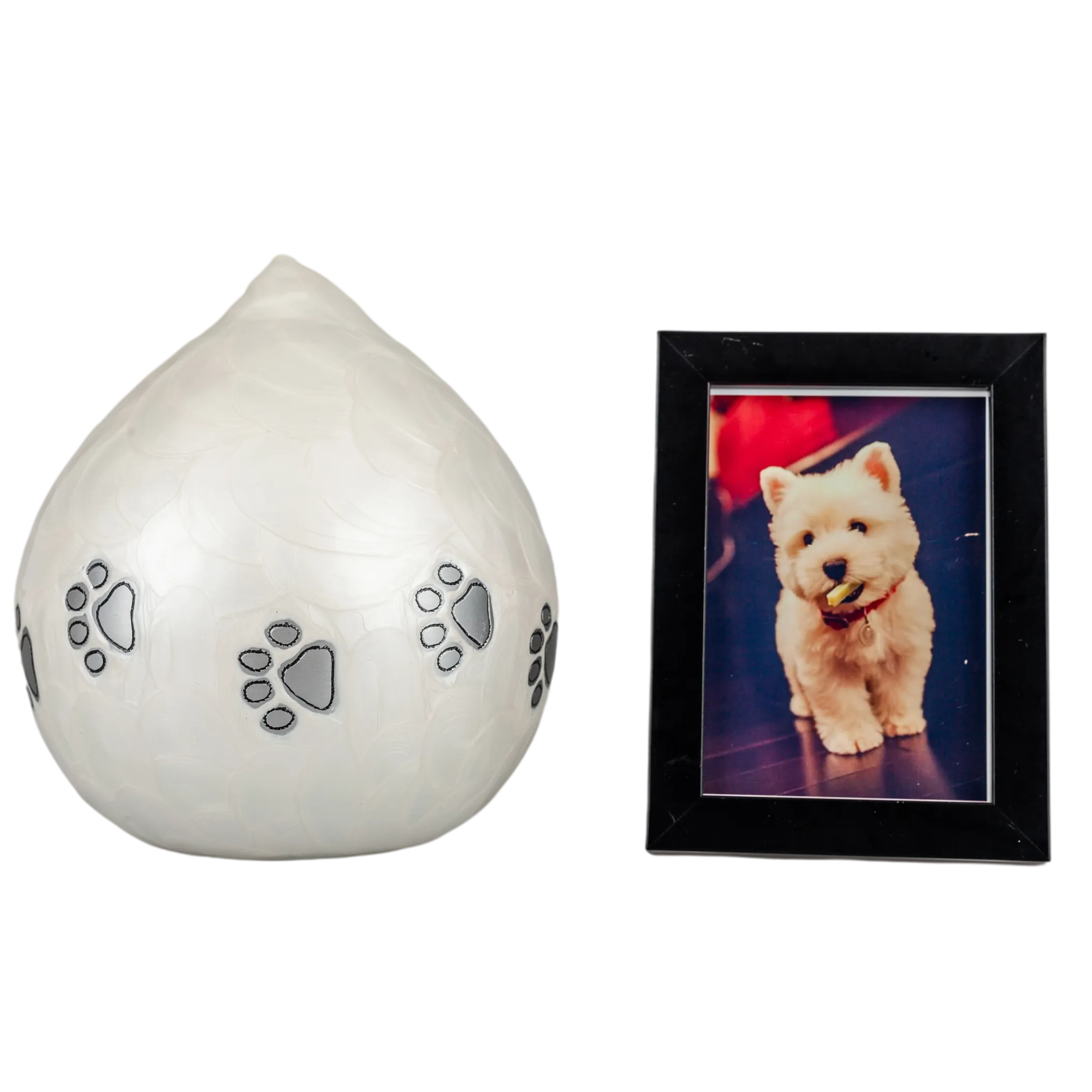 IMG_0800_15642_15713_结果