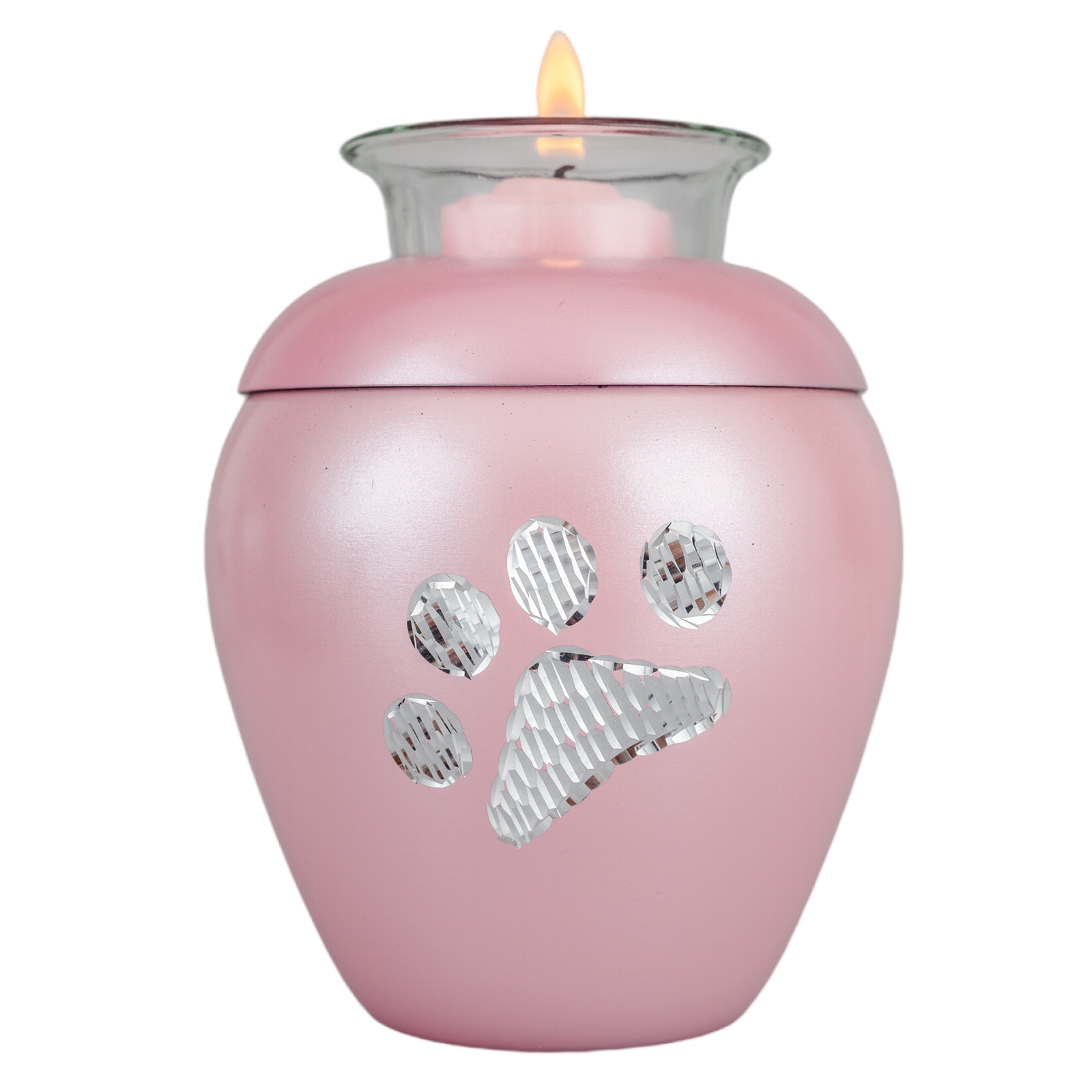 IMG_0822_11259_16654