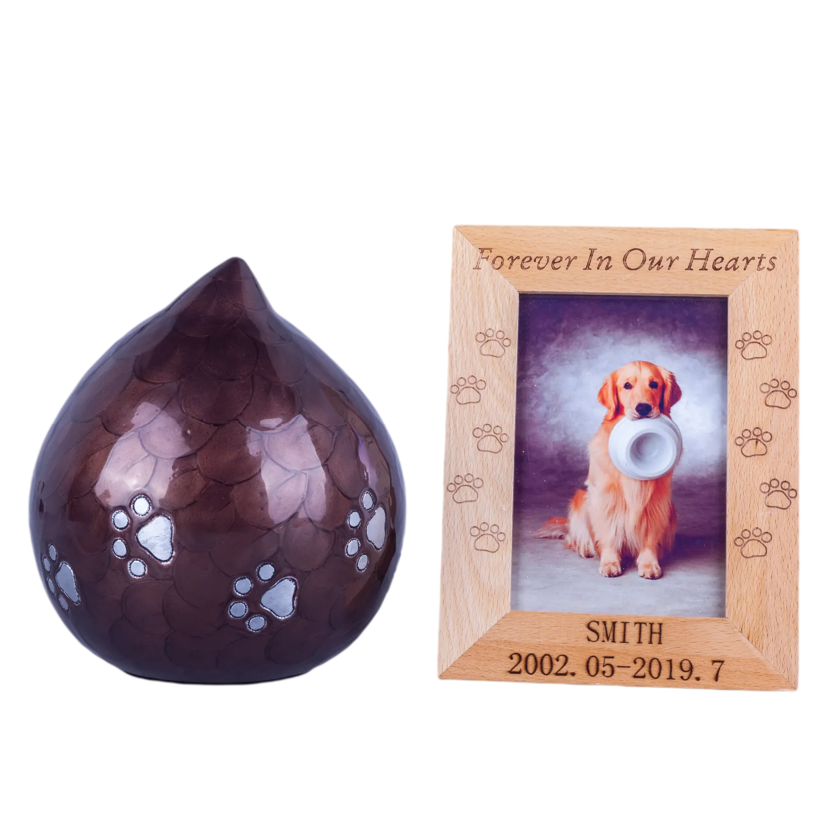 IMG_3777_16047_16102_结果