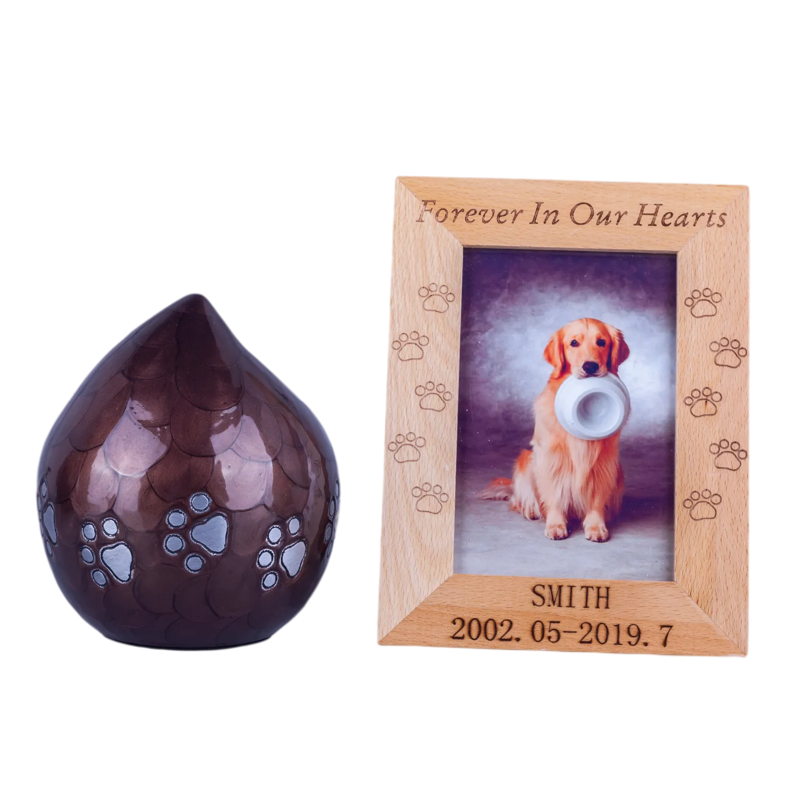 IMG_3778_15988_16027_结果