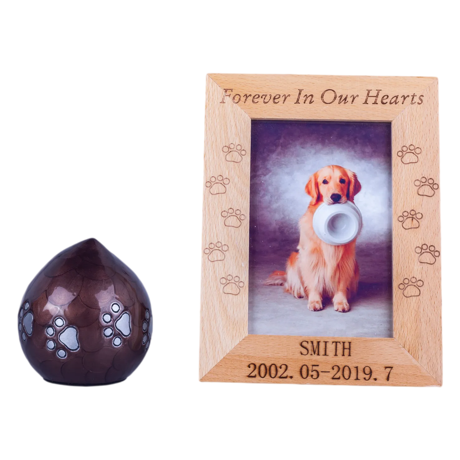 IMG_3779_15919_15971_结果