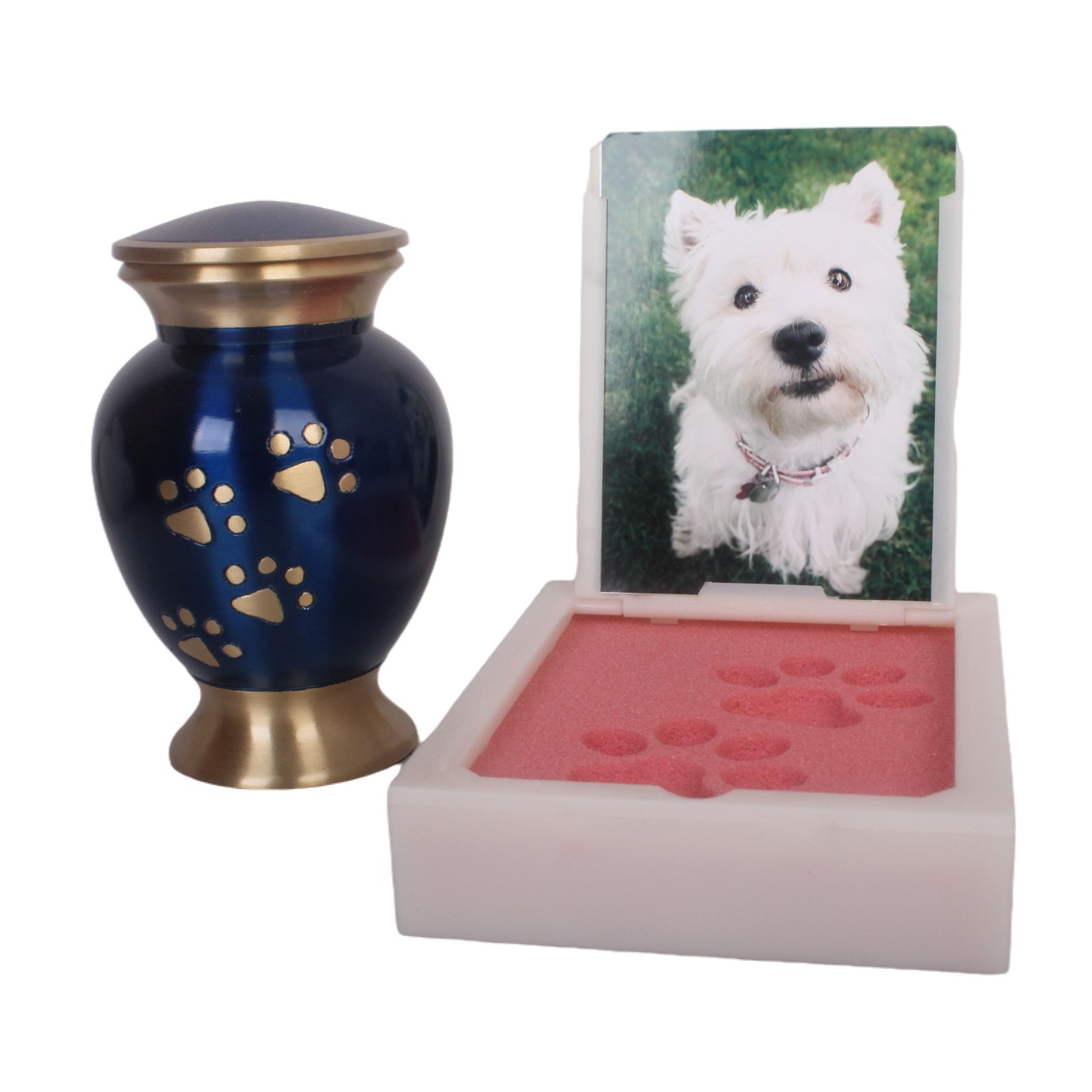 IMG_4735_16614_16708