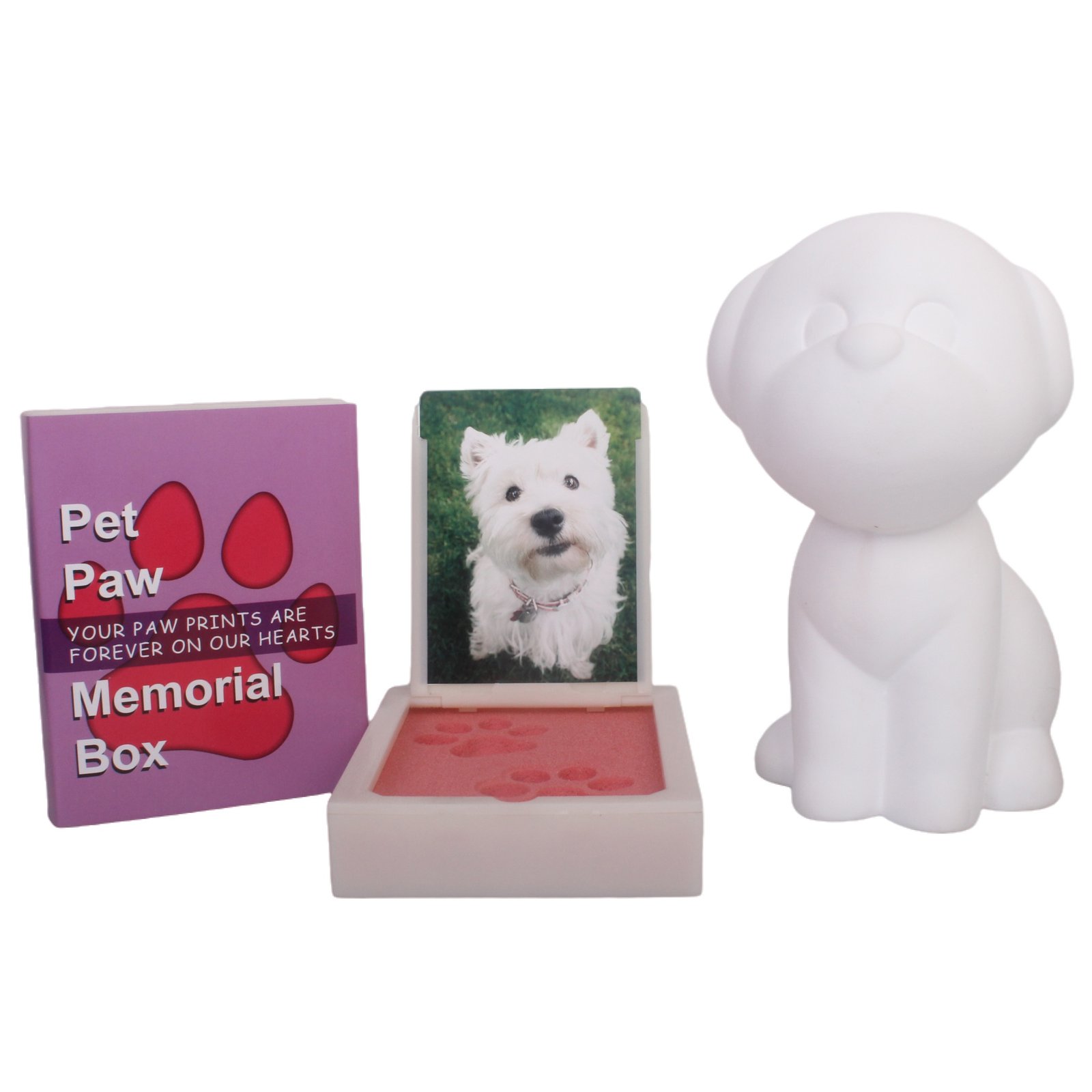 IMG_4761_21843_21899