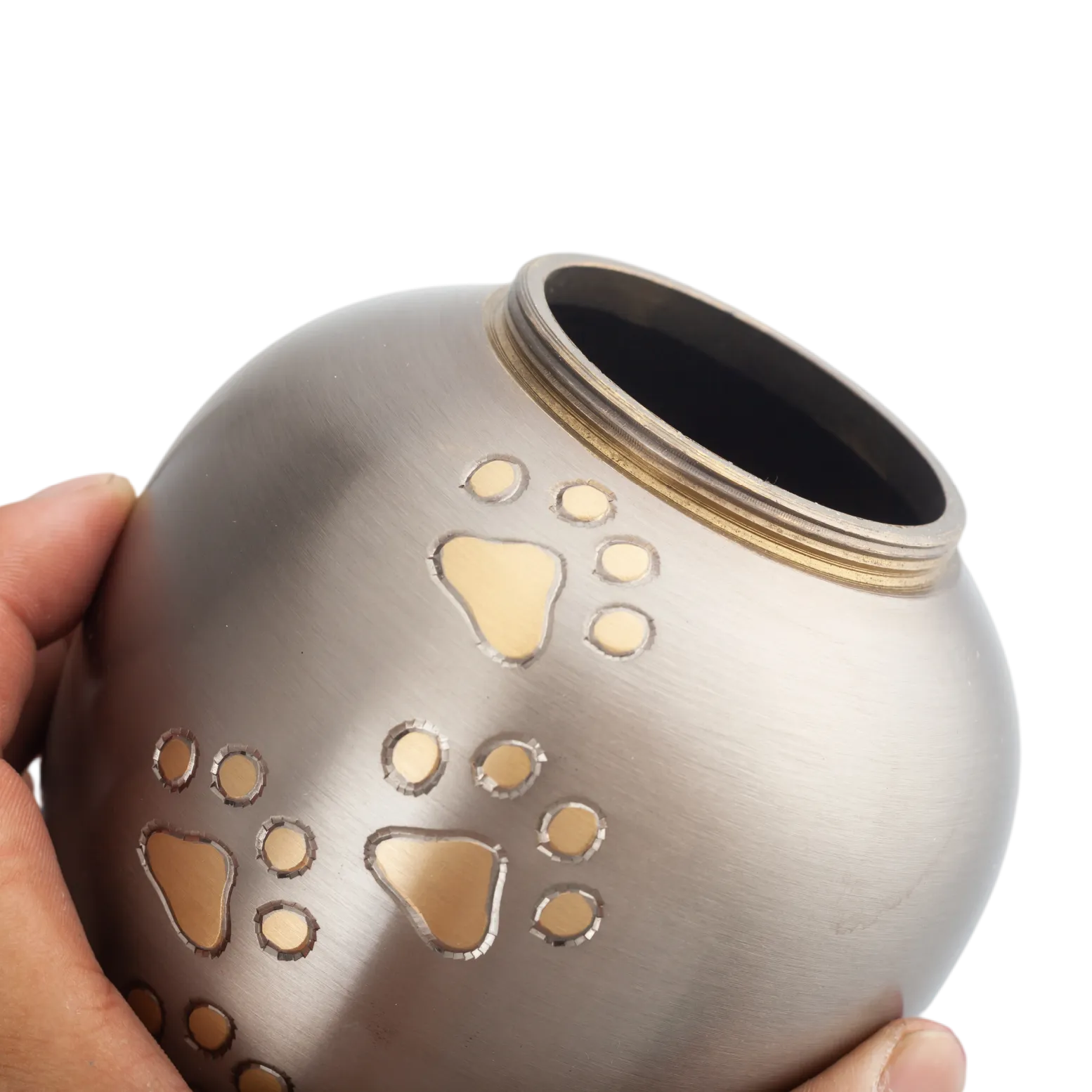 IMG_9885_20892_21007_结果