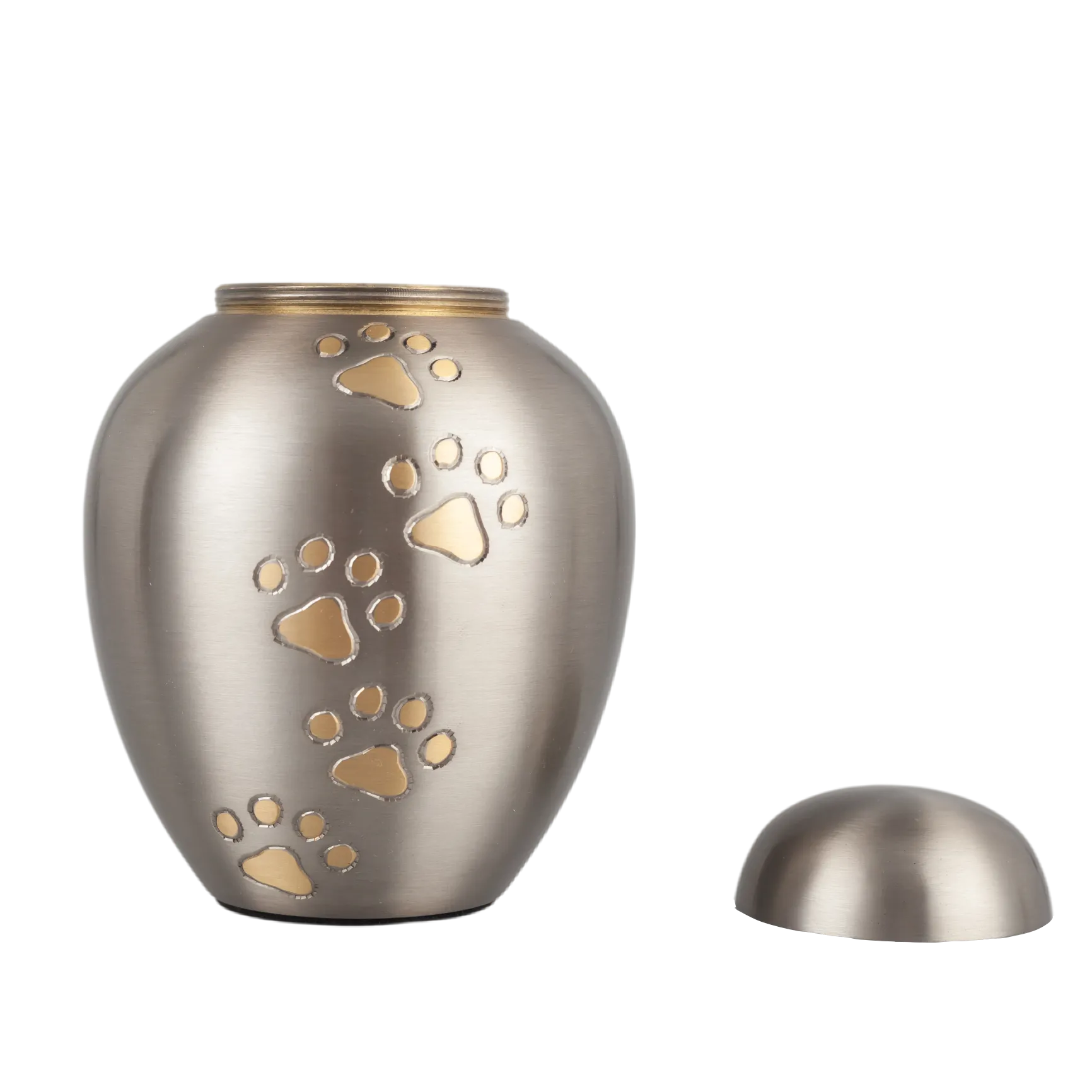 IMG_9886_21049_21412_结果