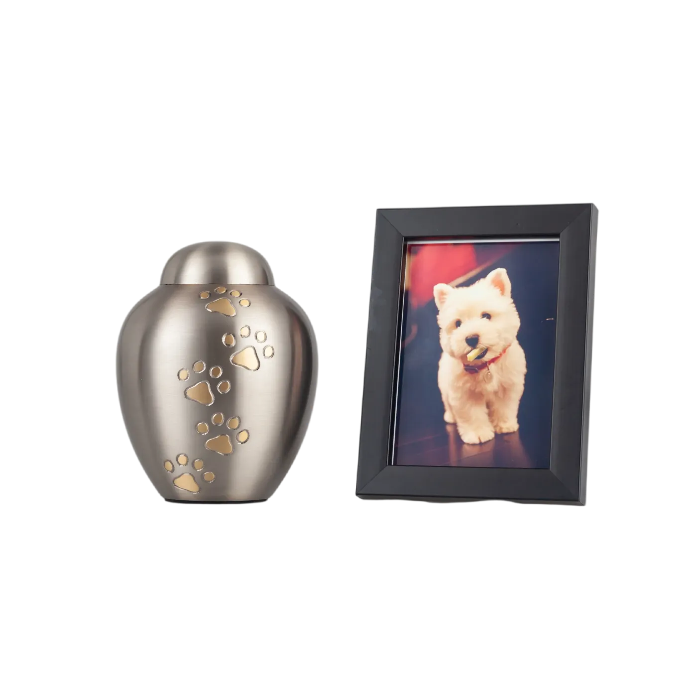 IMG_9889_21601_21679_结果