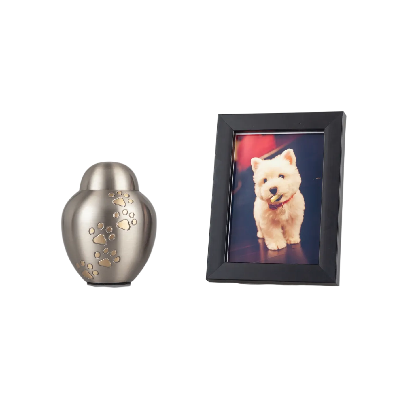 IMG_9890_21461_21568_结果