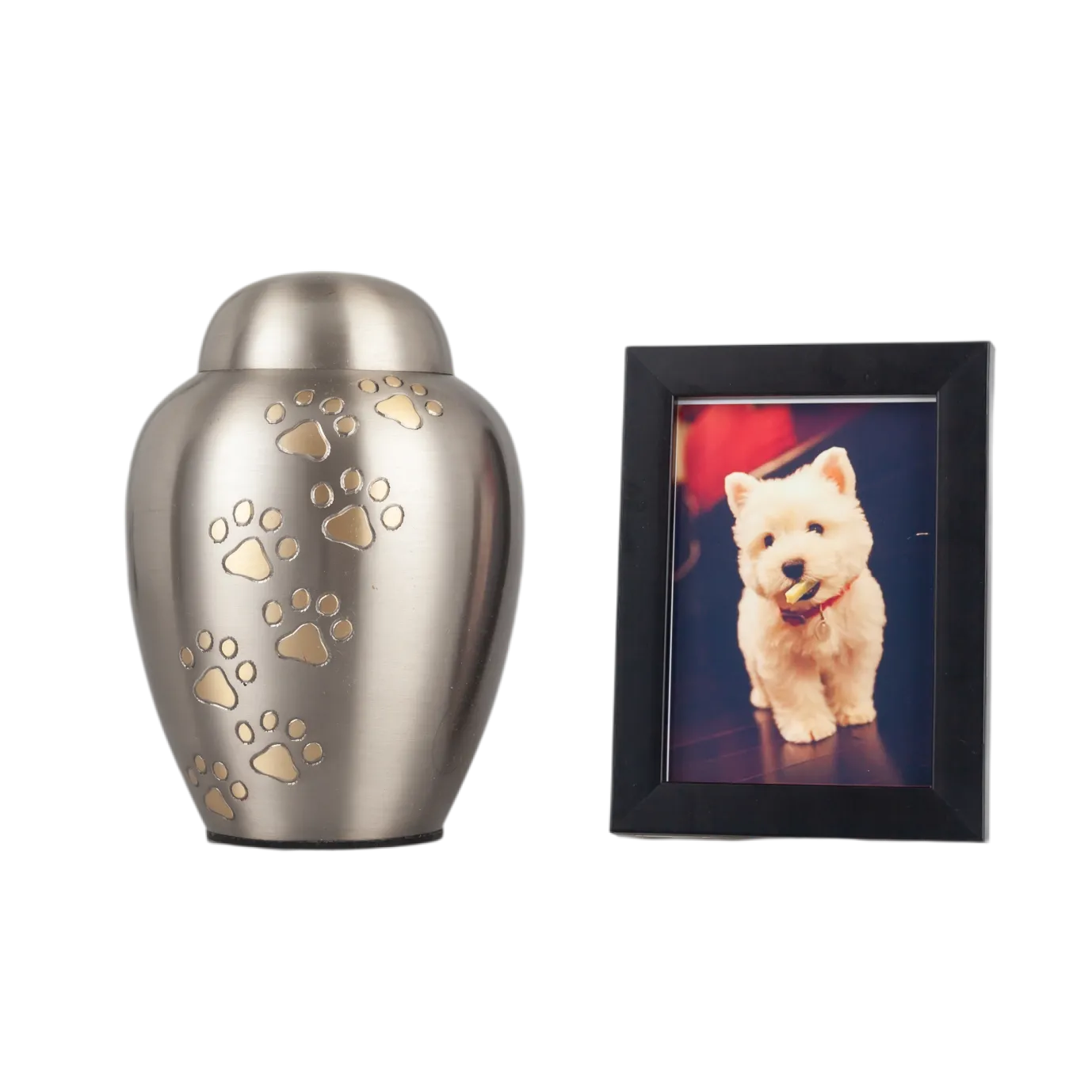 IMG_9894_21722_21813_结果