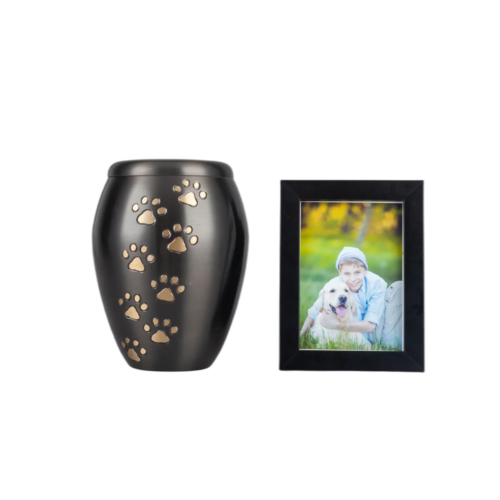 IMG_9972_23442_23537_结果