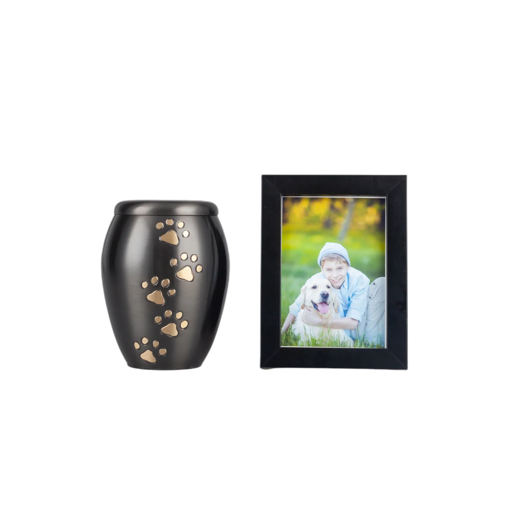 IMG_9973_23308_23416_结果