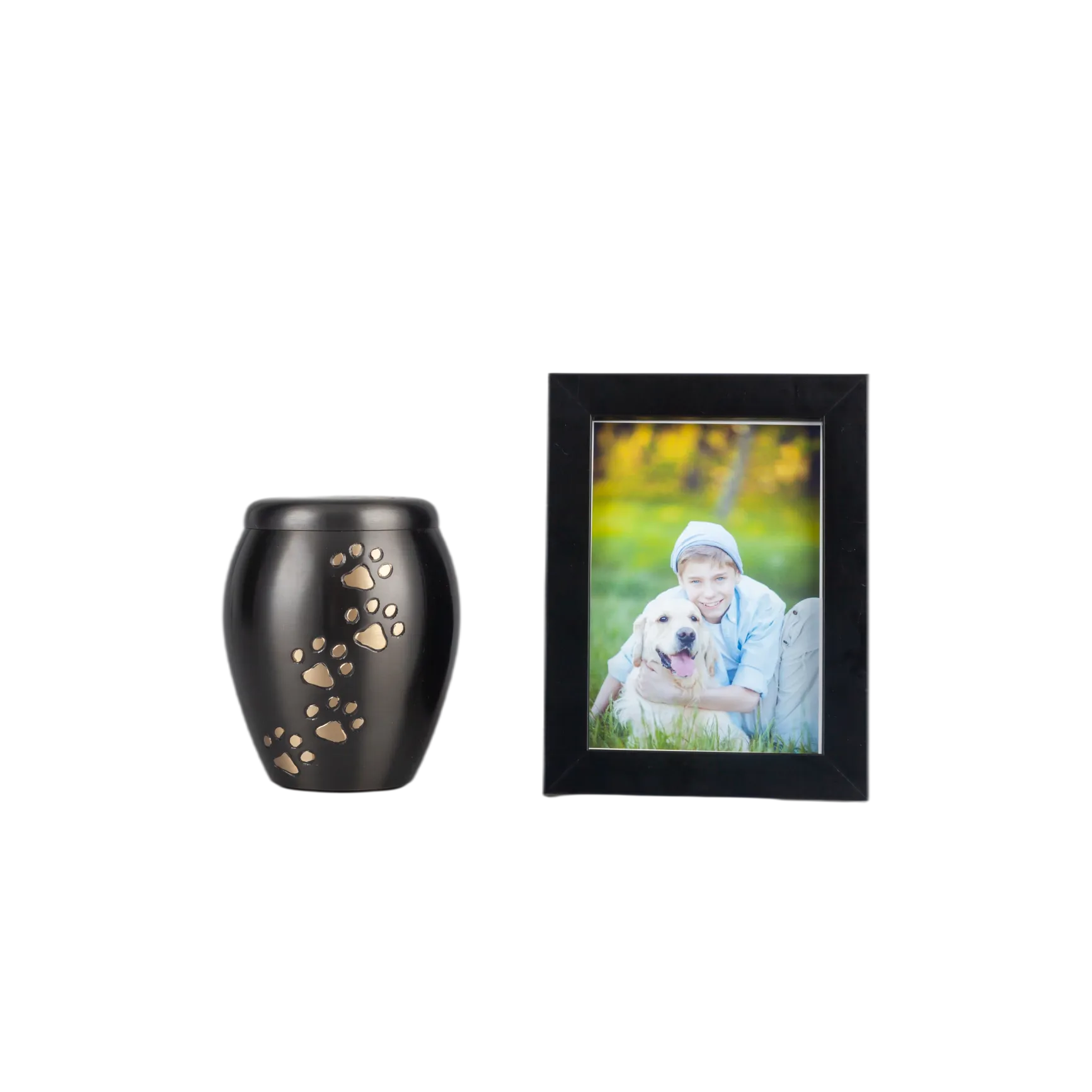 IMG_9976_23191_23285_结果